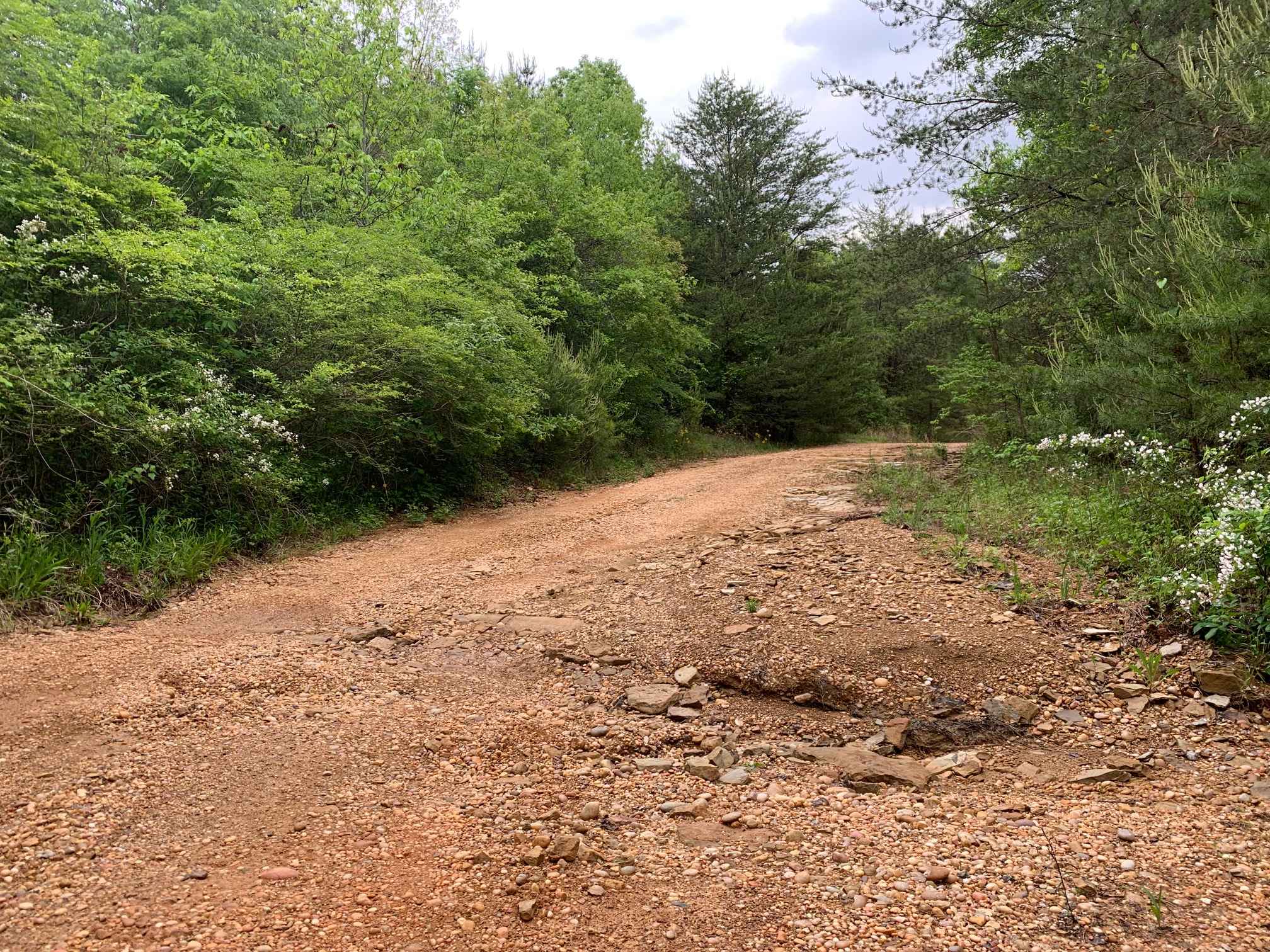 Turkey Creek Road, Alabama : Off-Road Map, Guide, and Tips