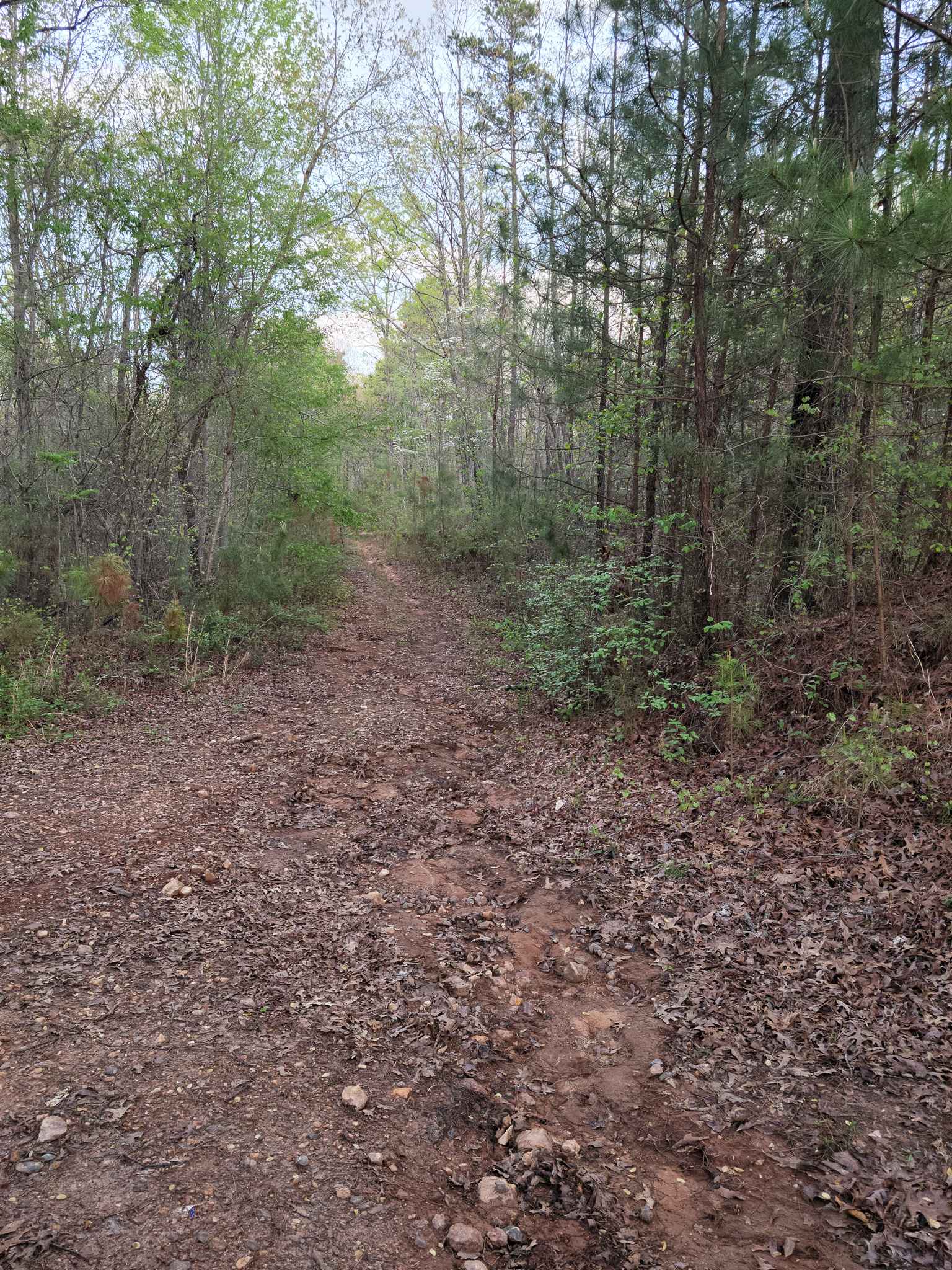 Upper Sweetwater Trail