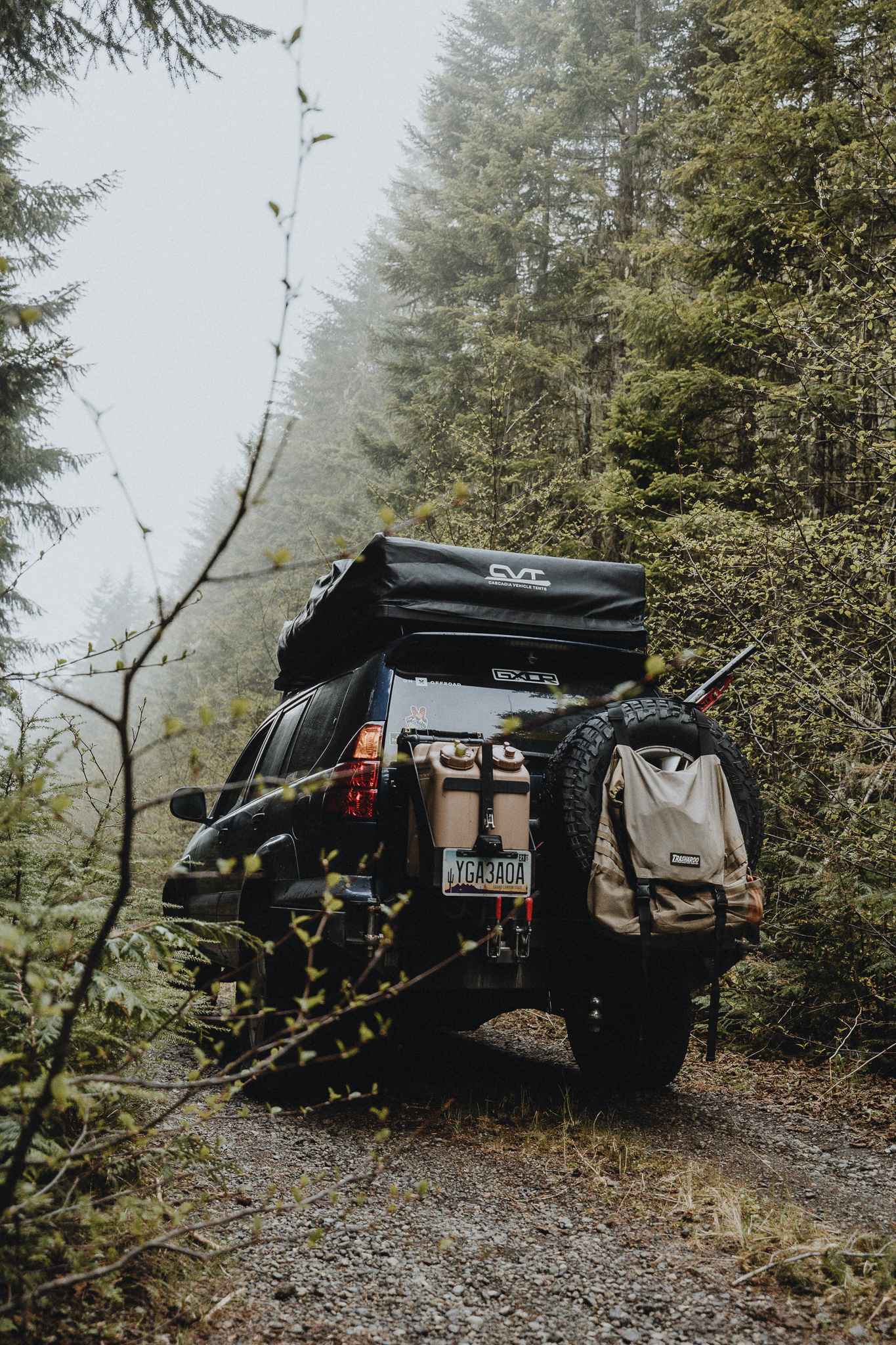 Overlook of Seattle Campsite