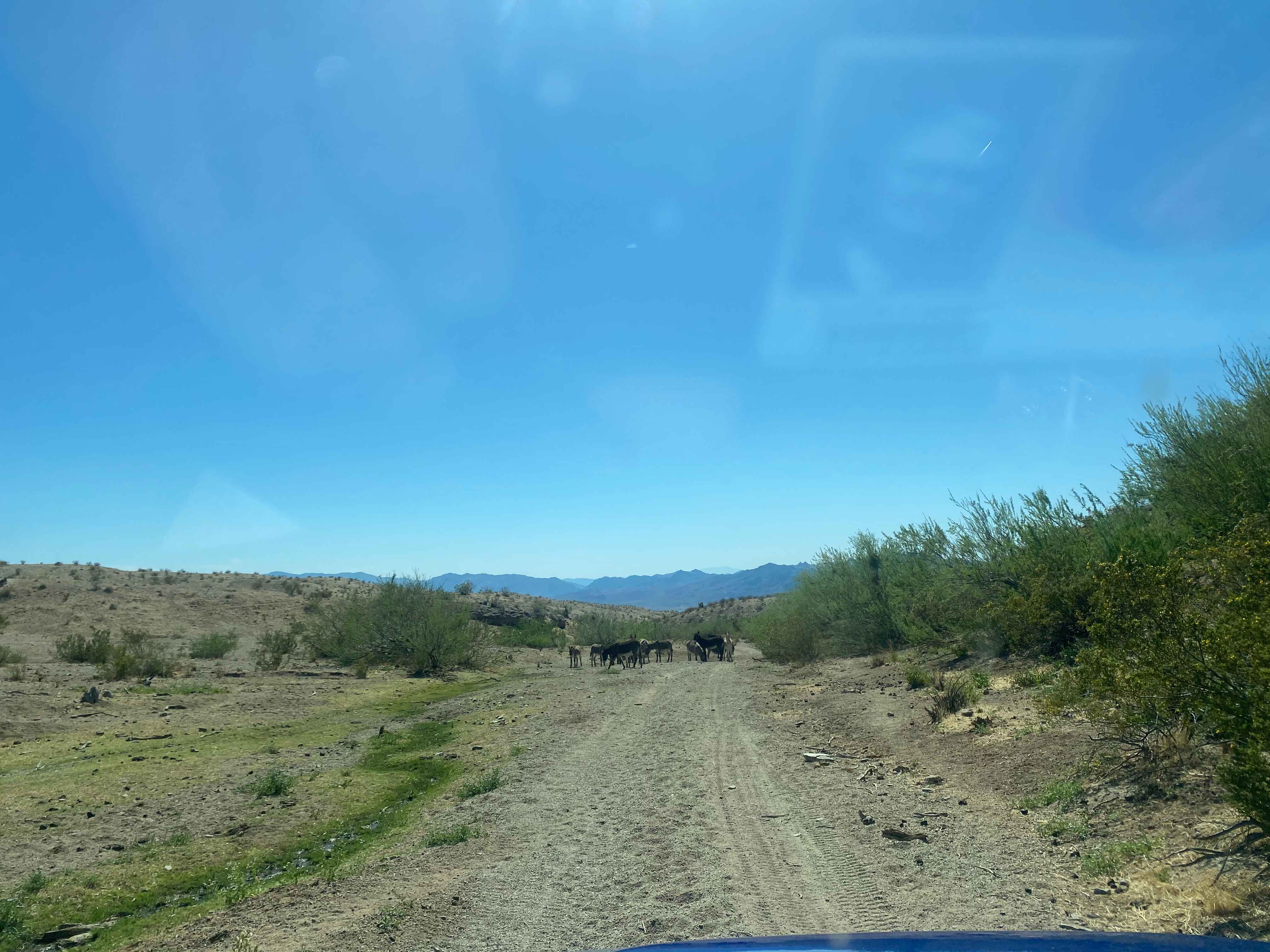 Witney to Lake Mead