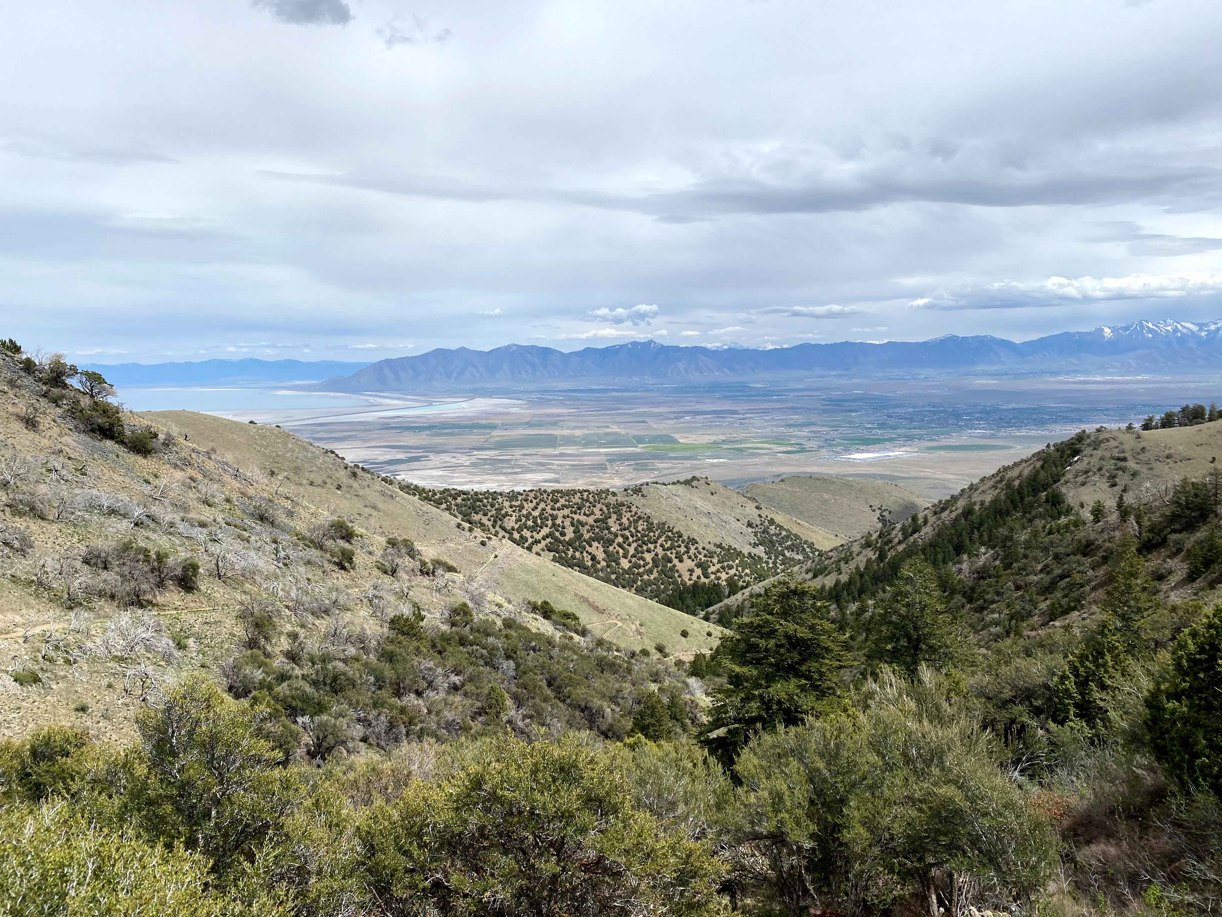 Miner Canyon/Kimbell Mine