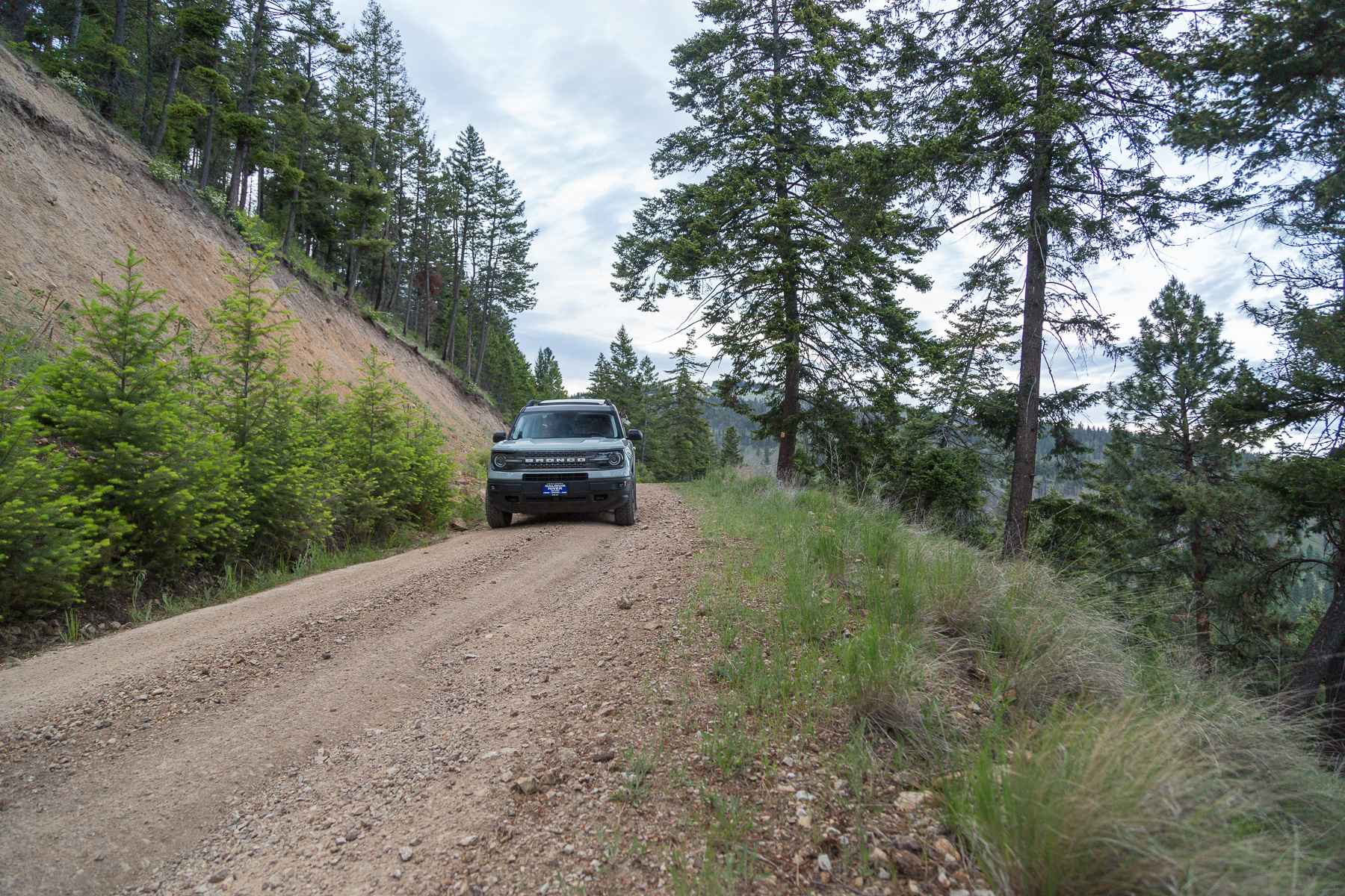 McClain Creek Road (FS 1311)