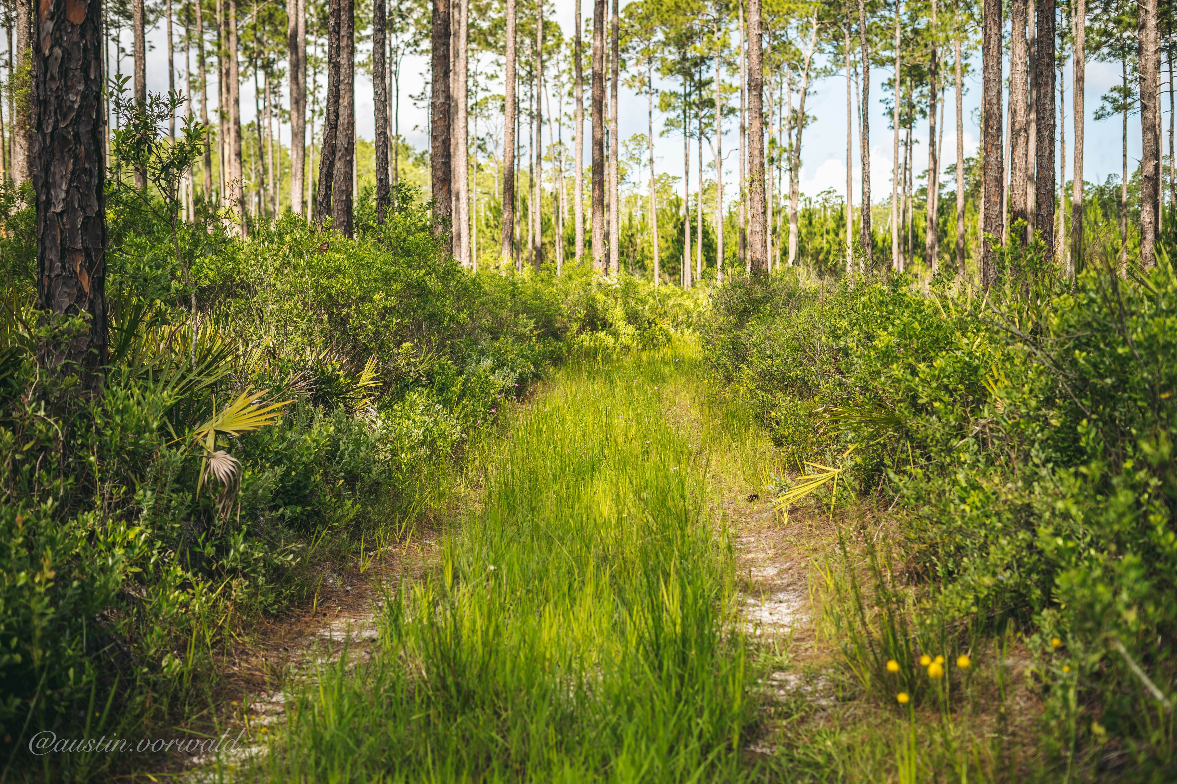 Sand Ridge Road