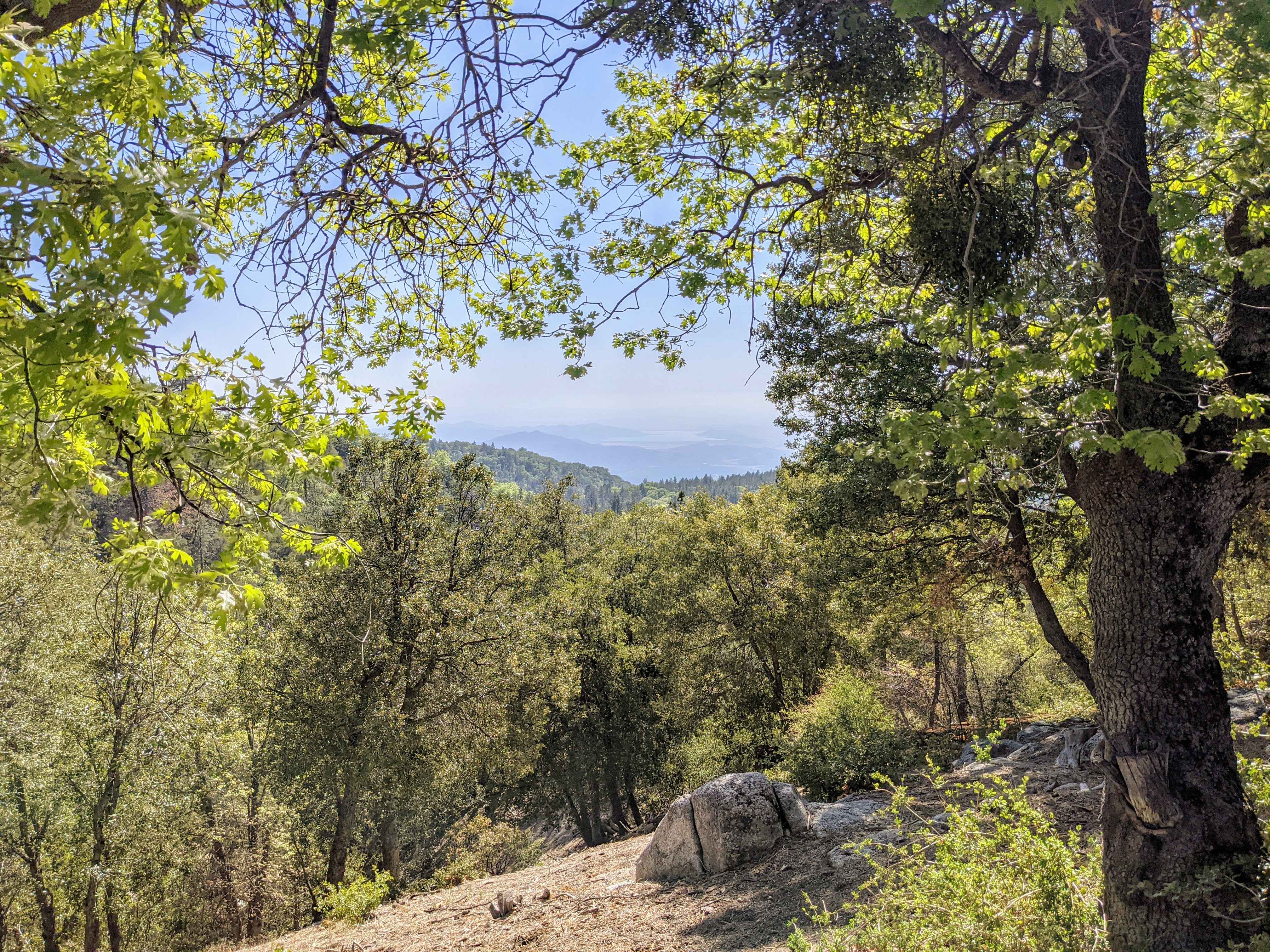 San Jacinto Ridge Trail (FS 5S09)