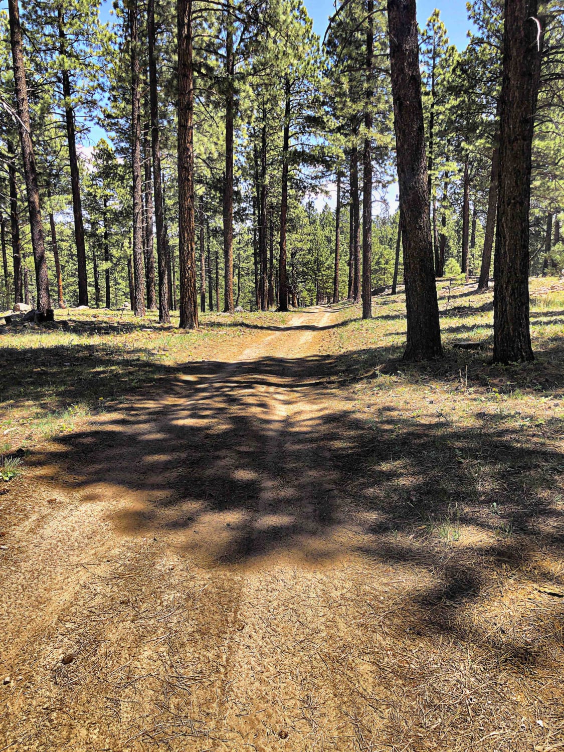 Dude Ranch to Stone Henge