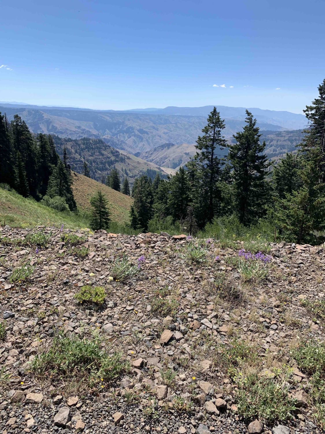 Hells Canyon Overlook - Dirt Road Approach