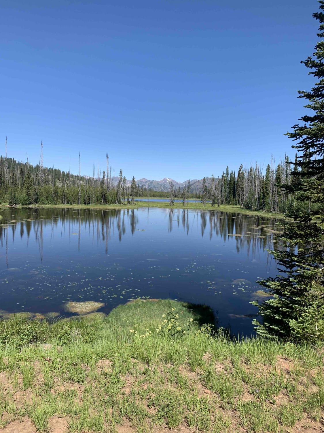 Fish Lake - Twin Lakes