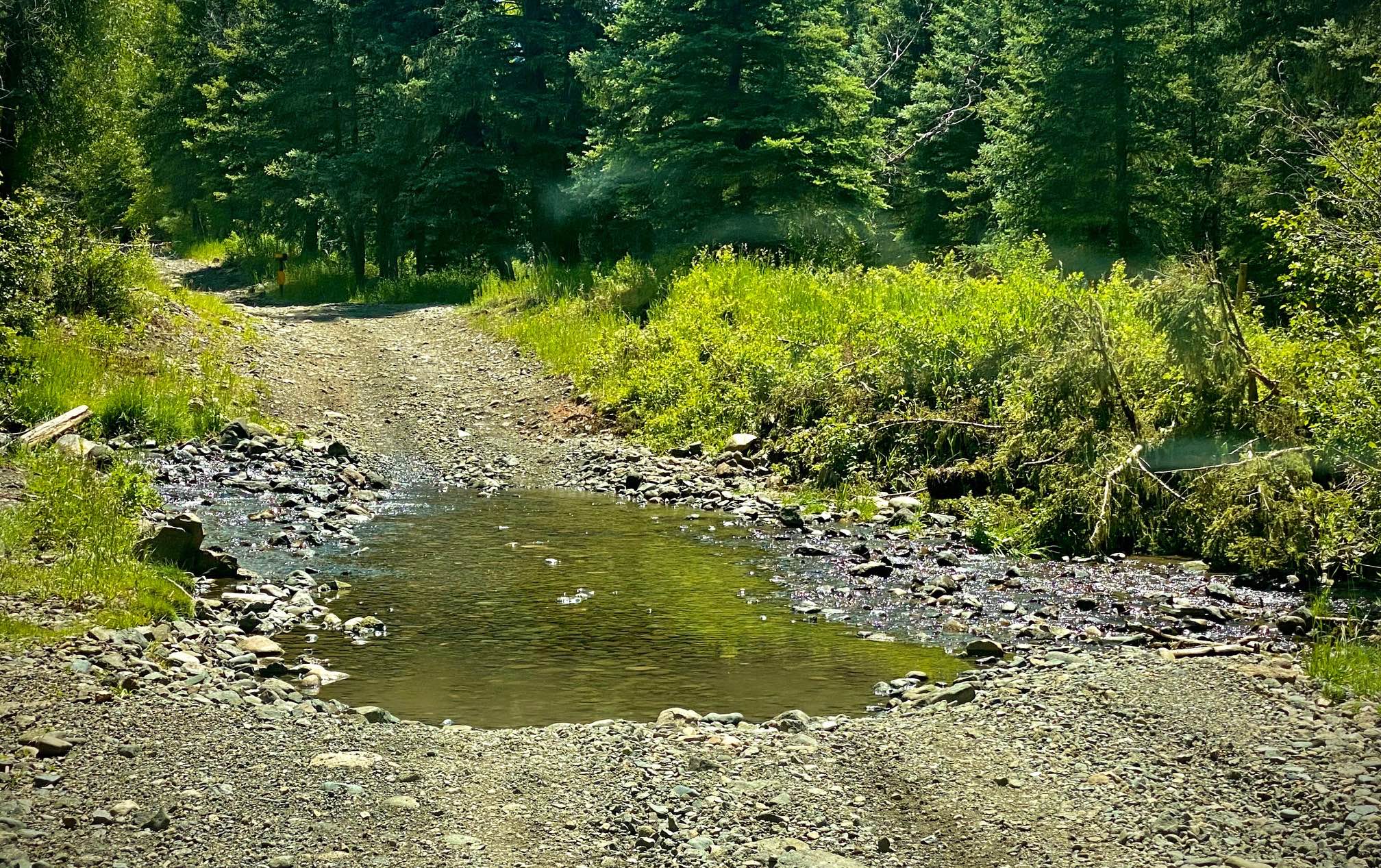 Lower Section of East Fork San Juan River Rd-Fr 667