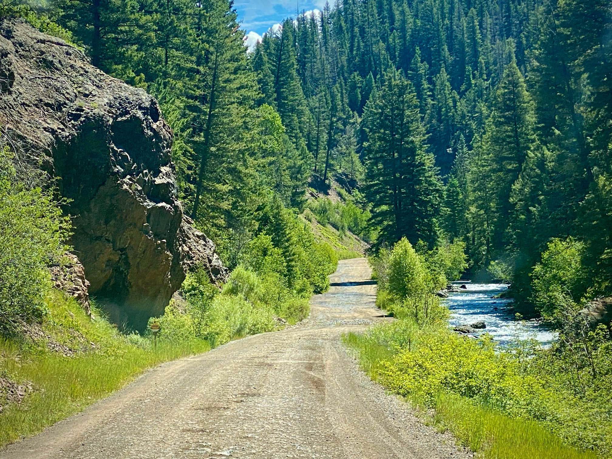 Lower Section of East Fork San Juan River Rd-Fr 667