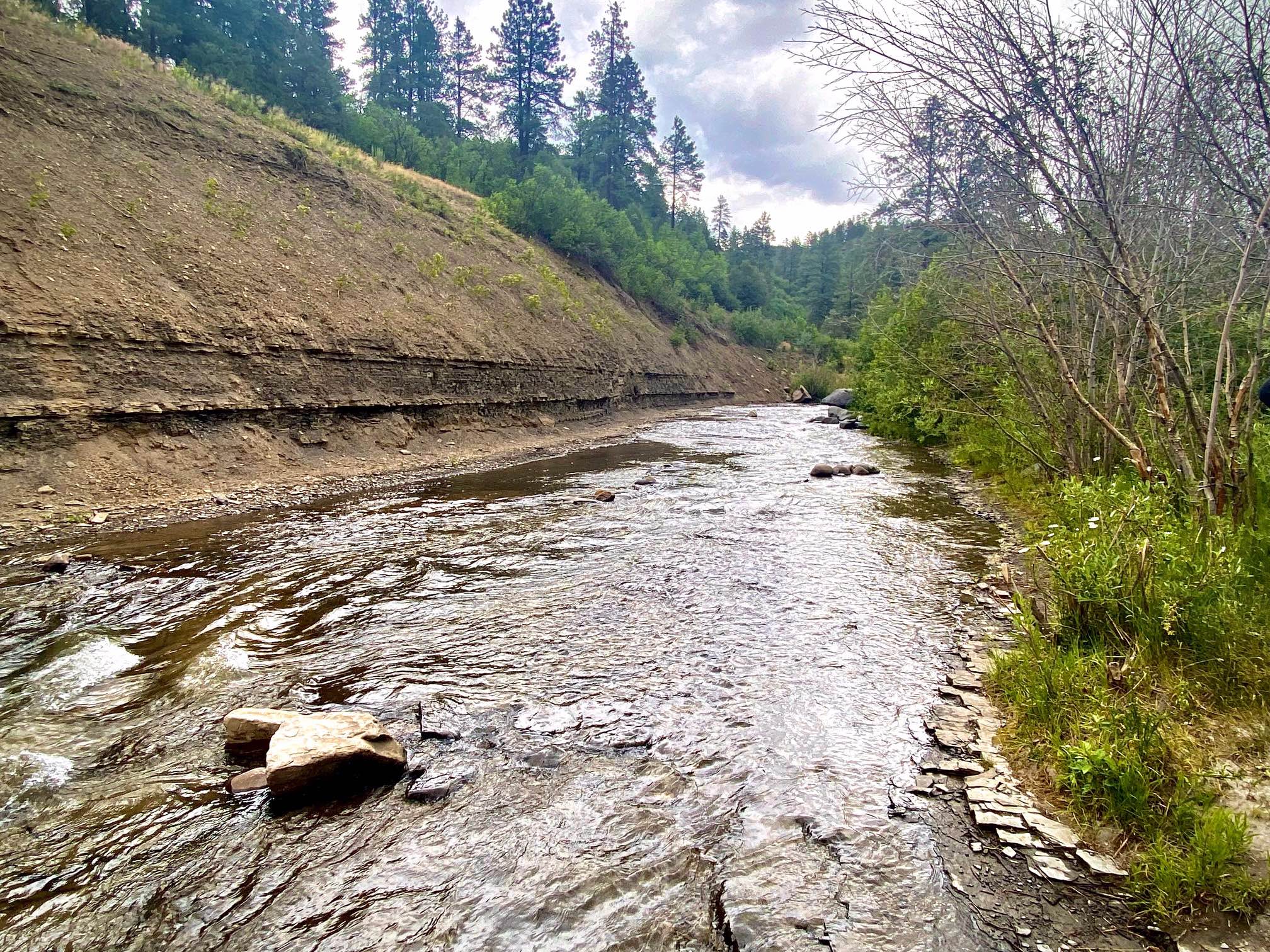 Blanco River Road-Fr Rd 656