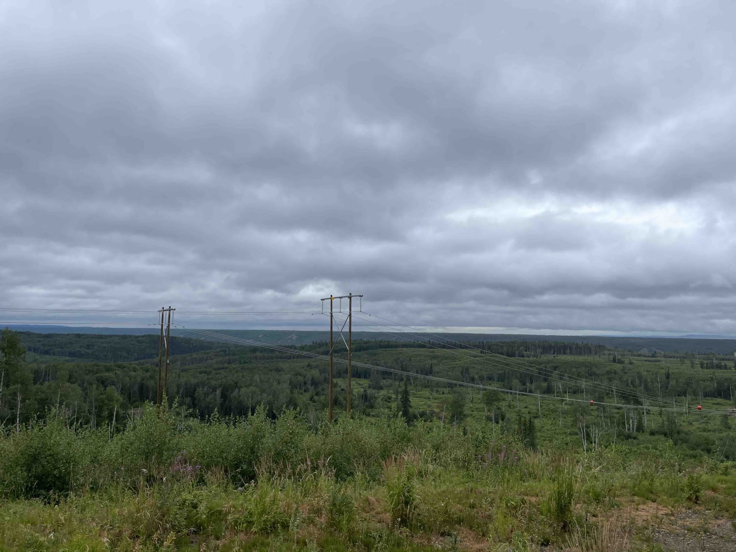 Stewart Lake Road