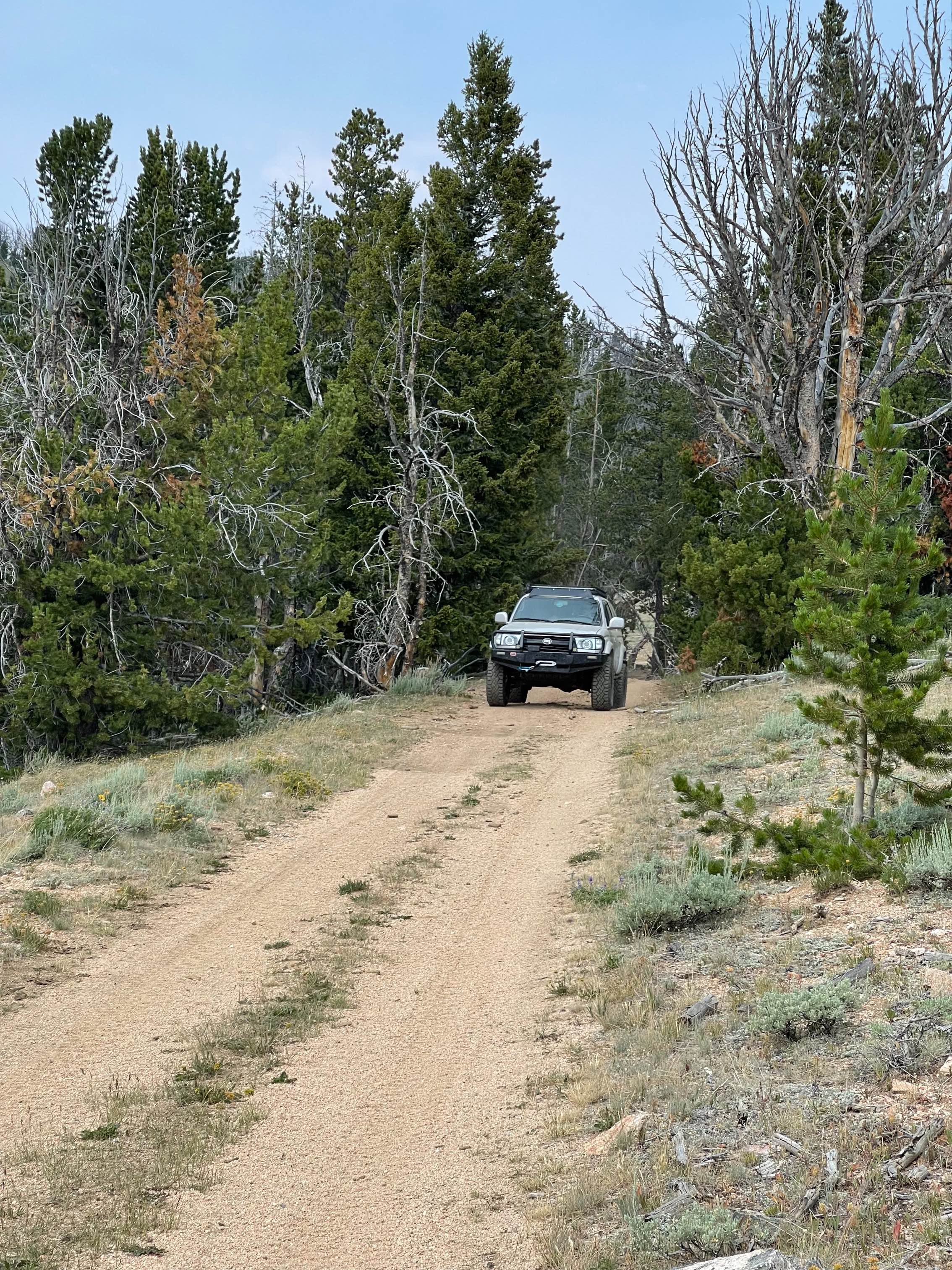 Barton Gulch and Offshoots