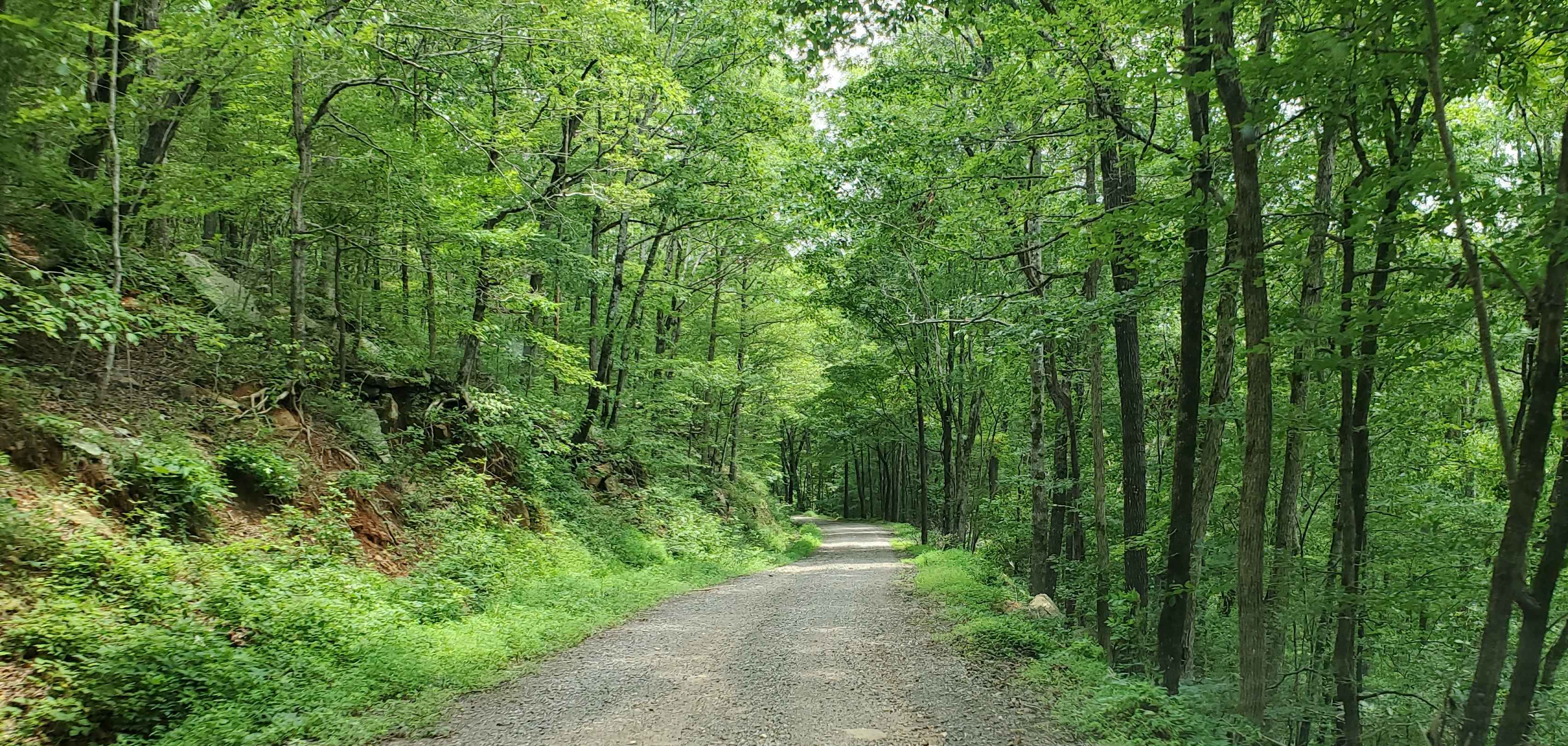 Prison Fence Trail