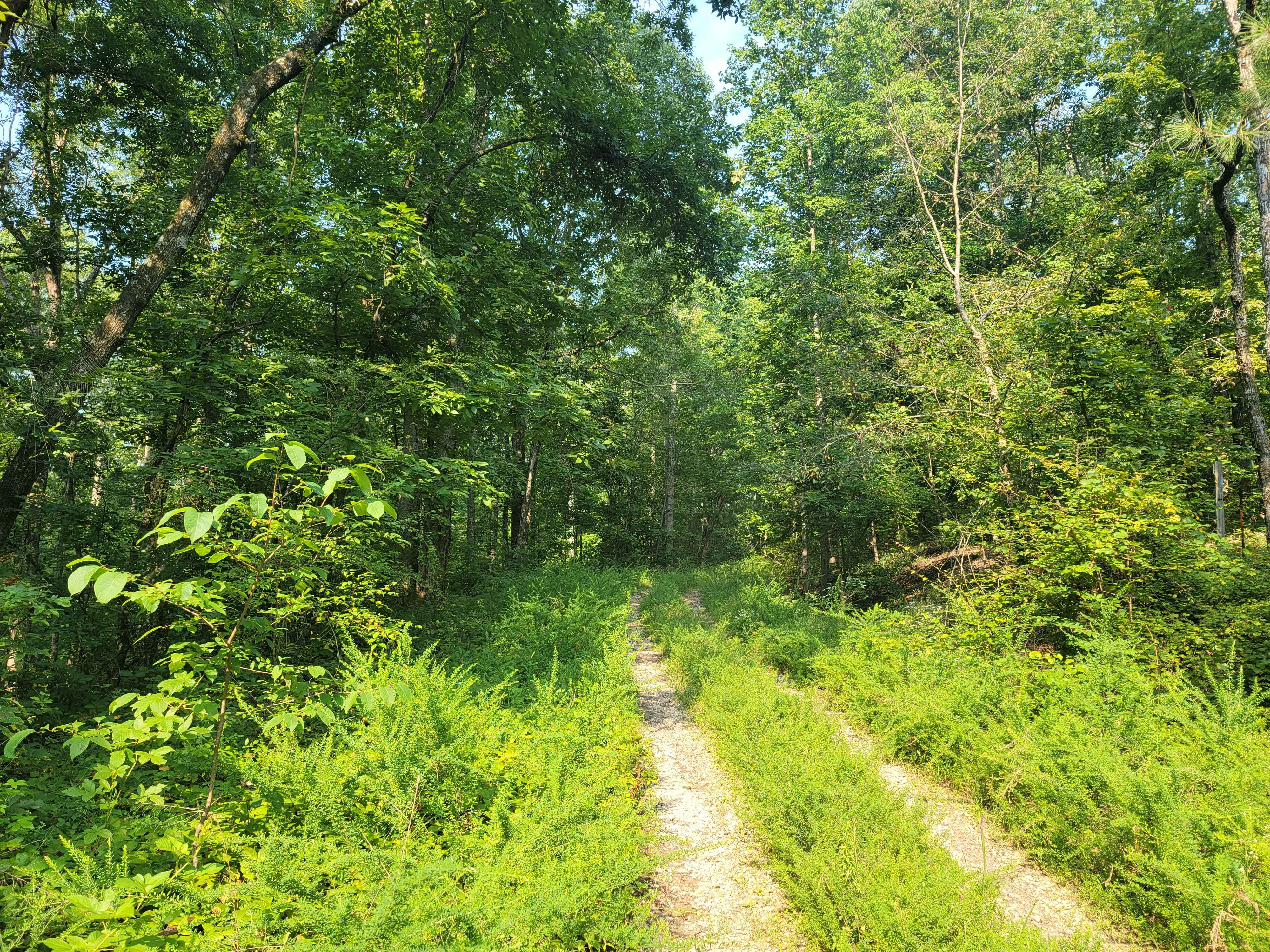 Turkey Creek Road, Alabama : Off-Road Map, Guide, and Tips