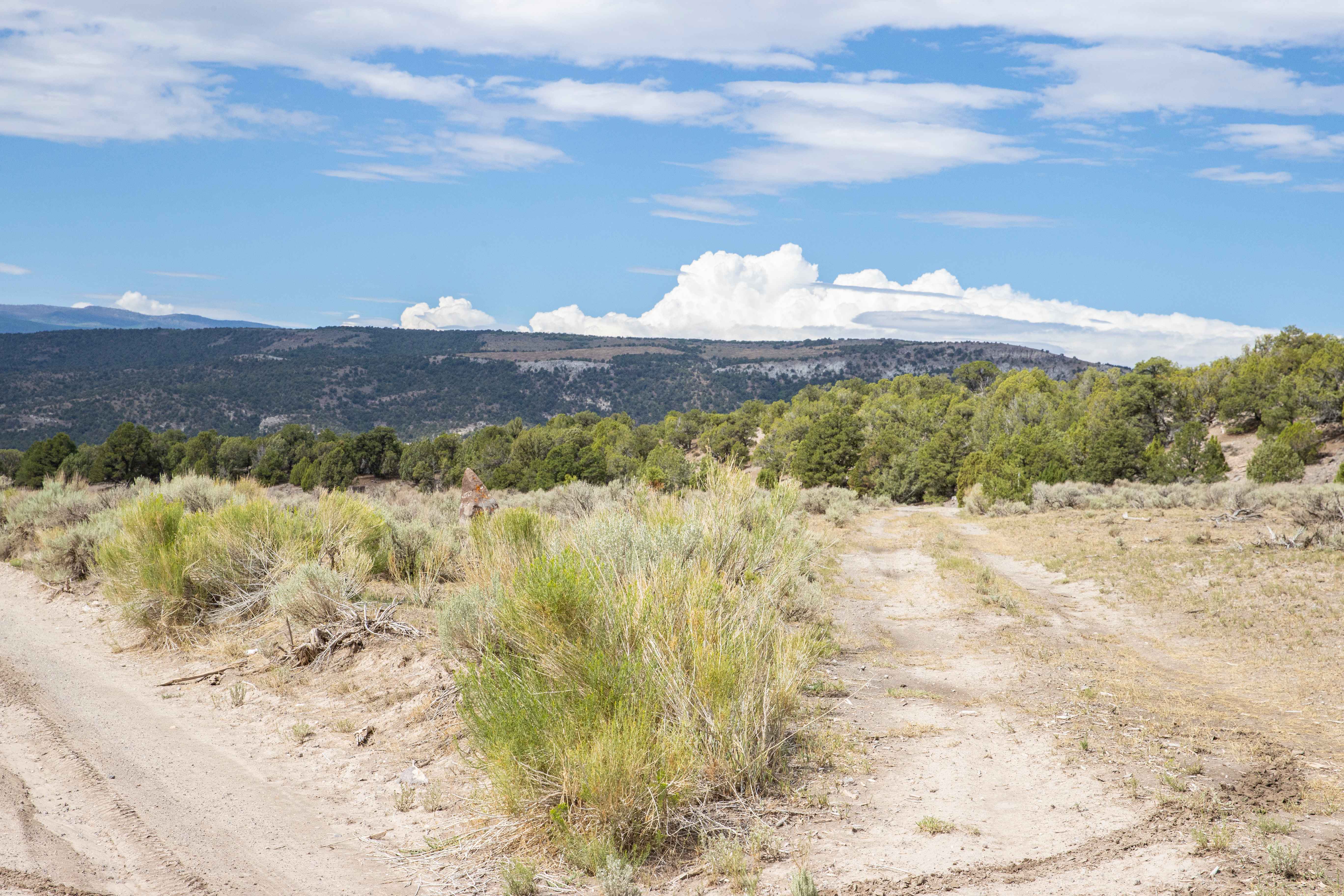 Teah Flat Road