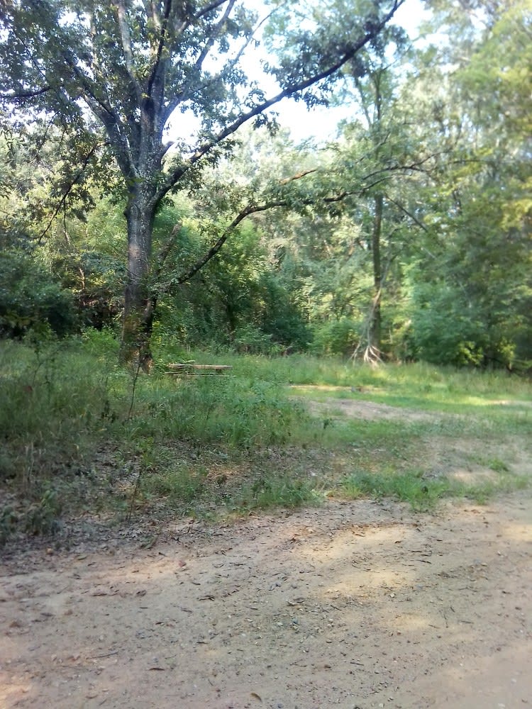 Trail to the Sulphur River