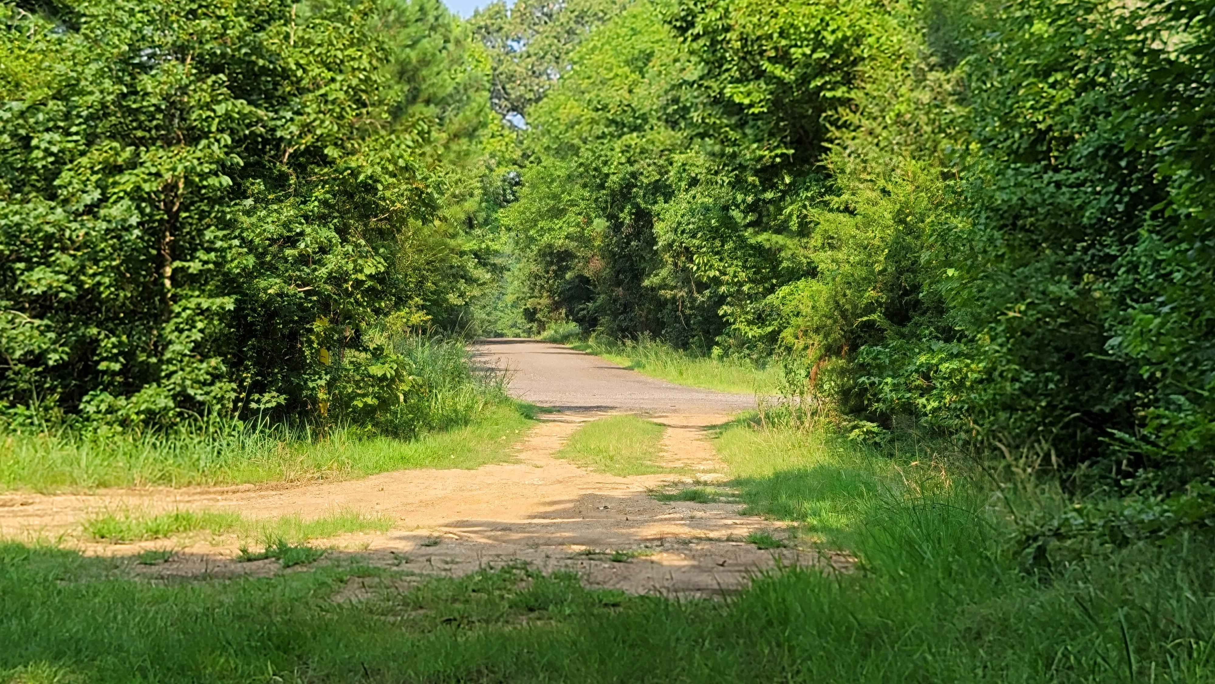 Low Water Bridge on Lake Wright Patman