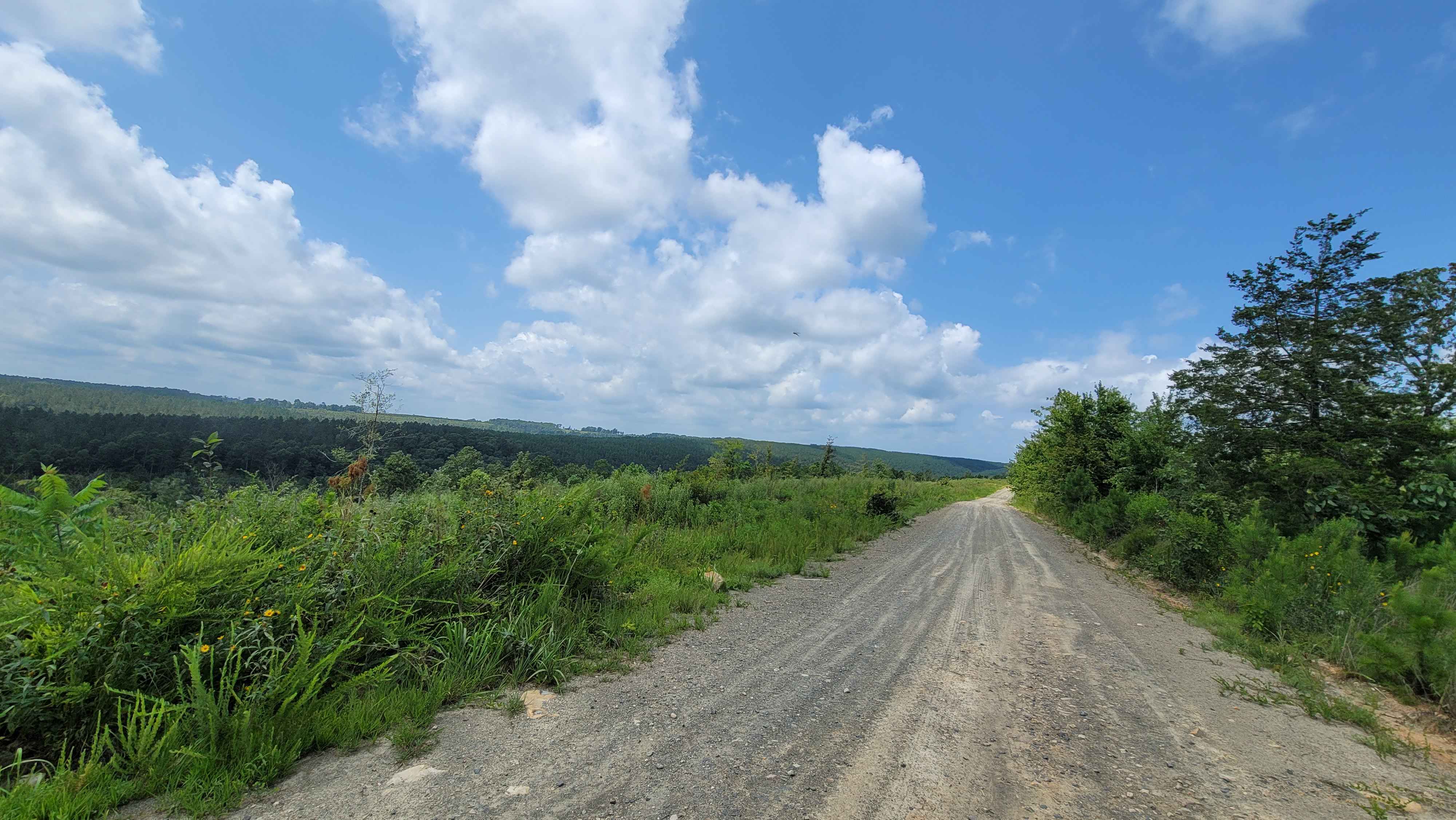 Cossatot River Campgrounds Route