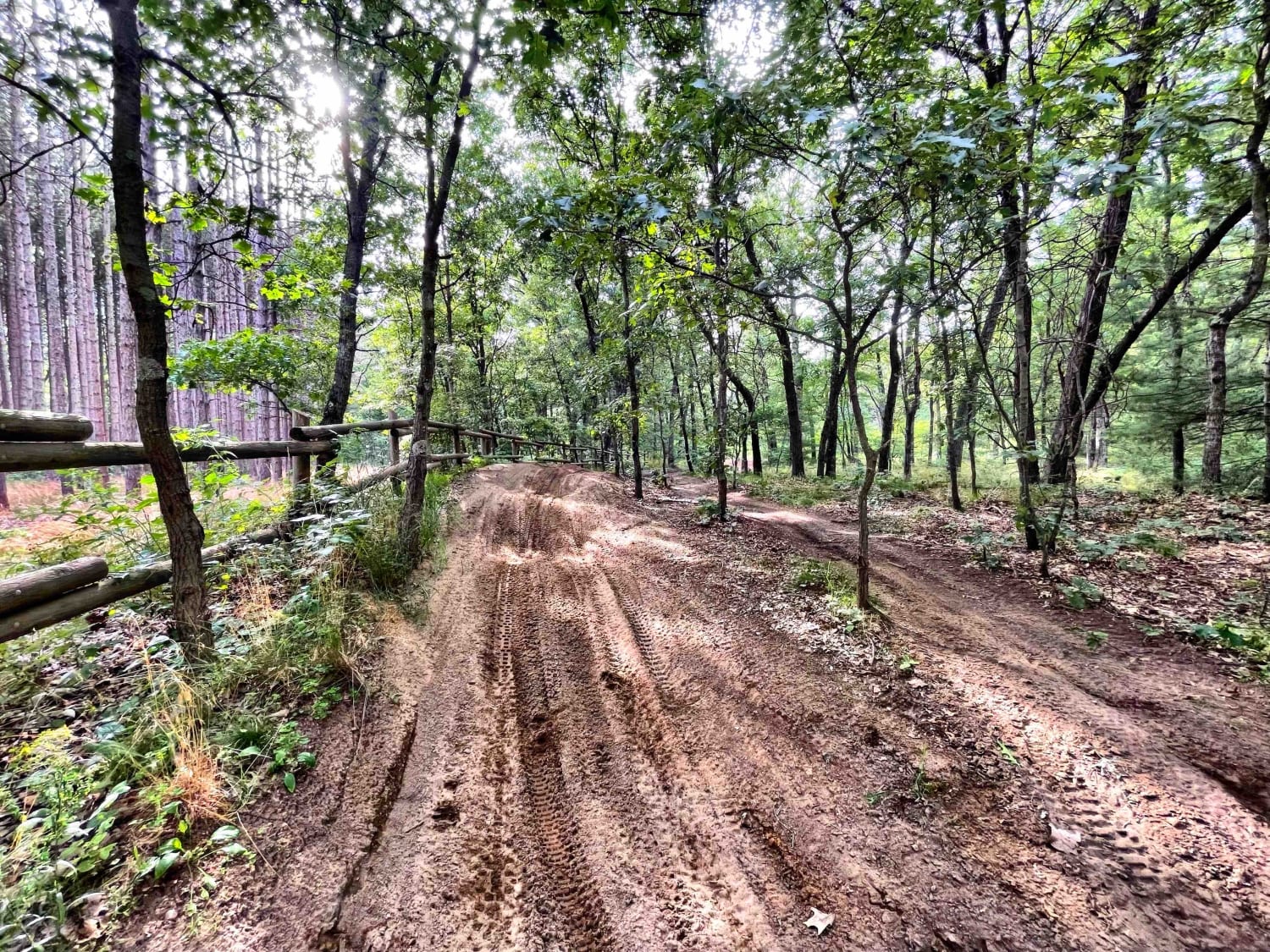 Cedar Creek Motorsport Trail (South Loop)