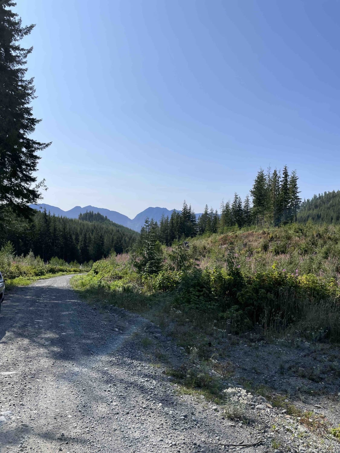 Hwy 19 to Bonanza Lake Rec Site