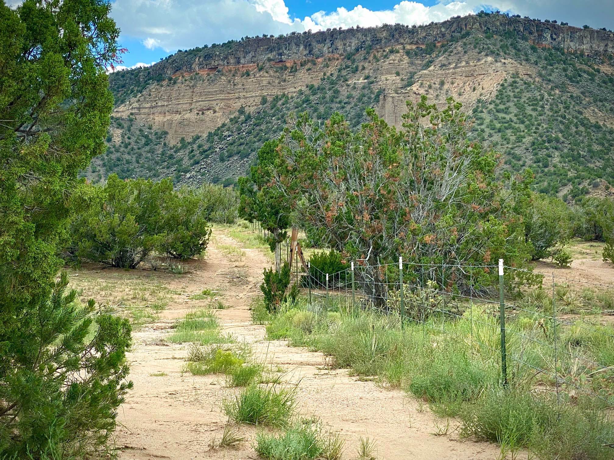 Upper Diablo Canyon Rd