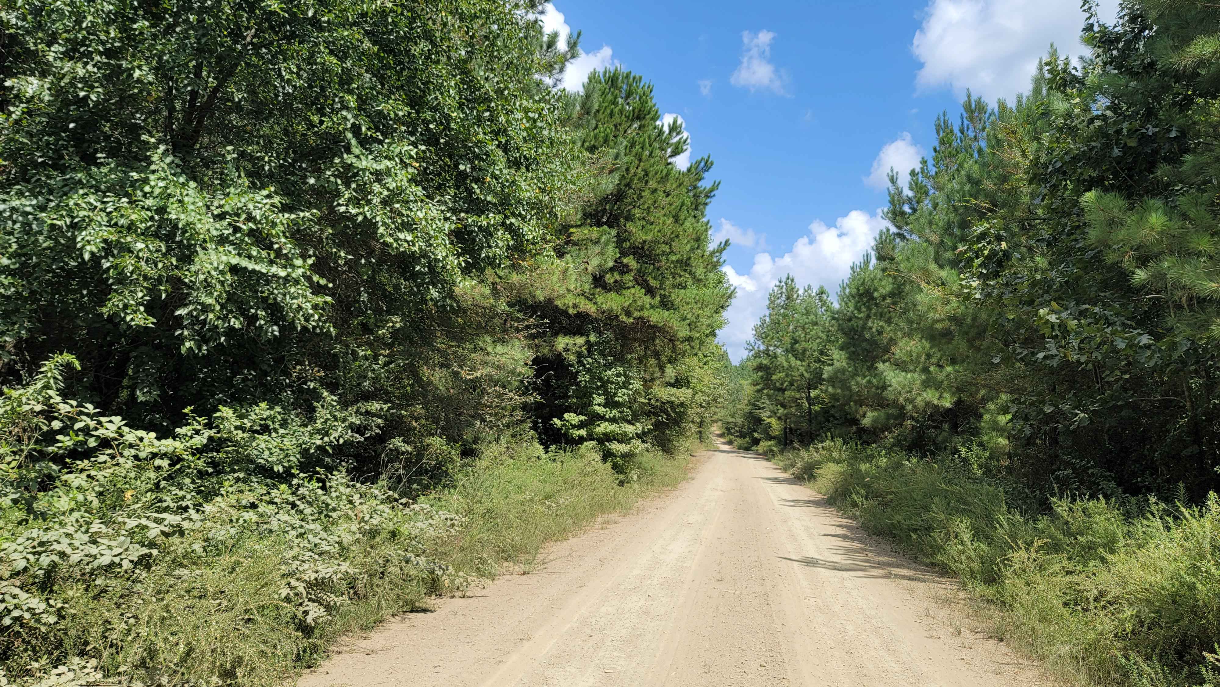 Cut Across to Gillham Road