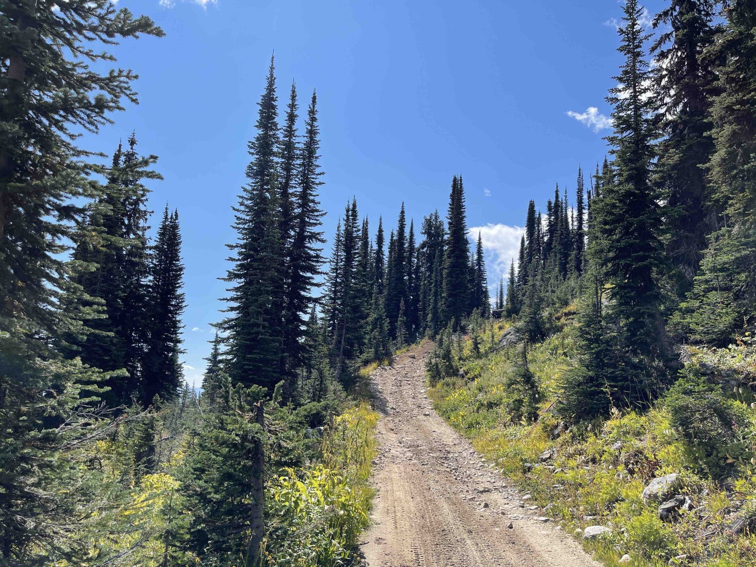 Mara Lookout High Trail