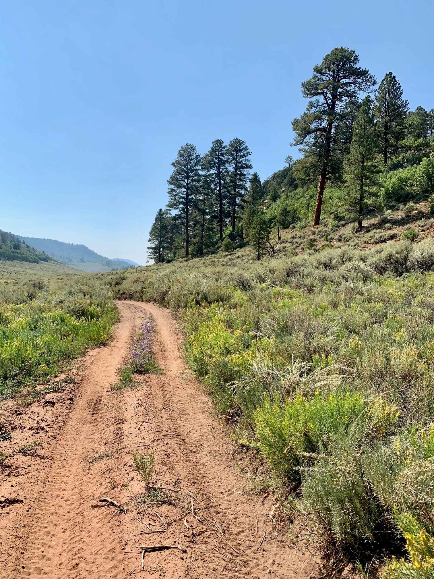 Gill Creek Loop 50