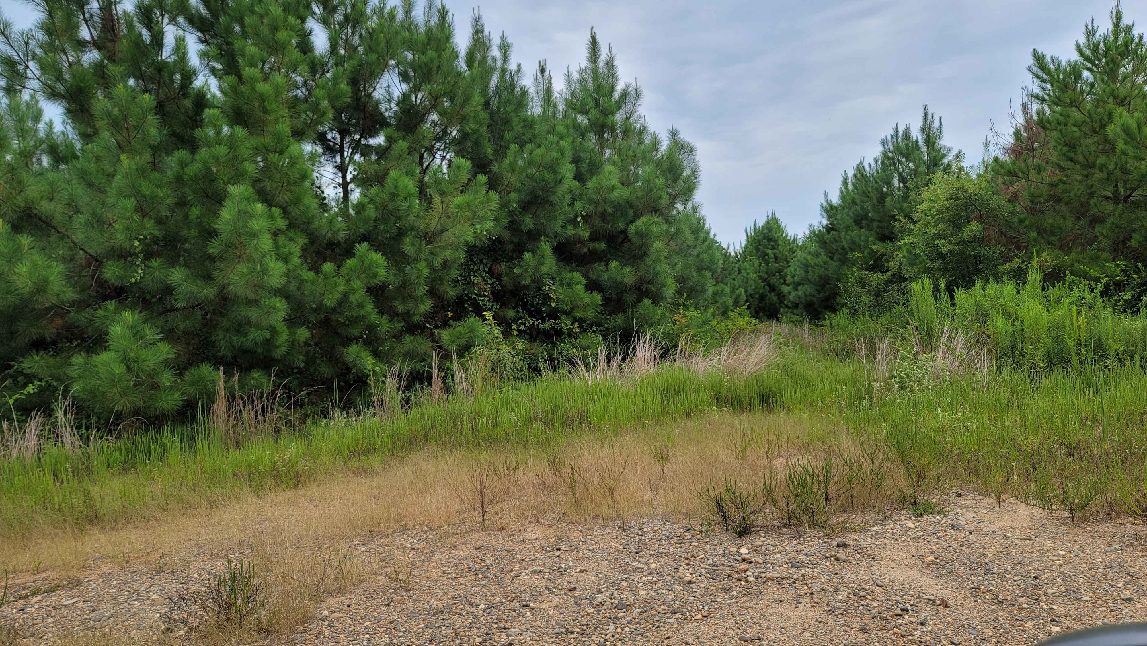 Bois d'Ark Trail back to Interstate 30