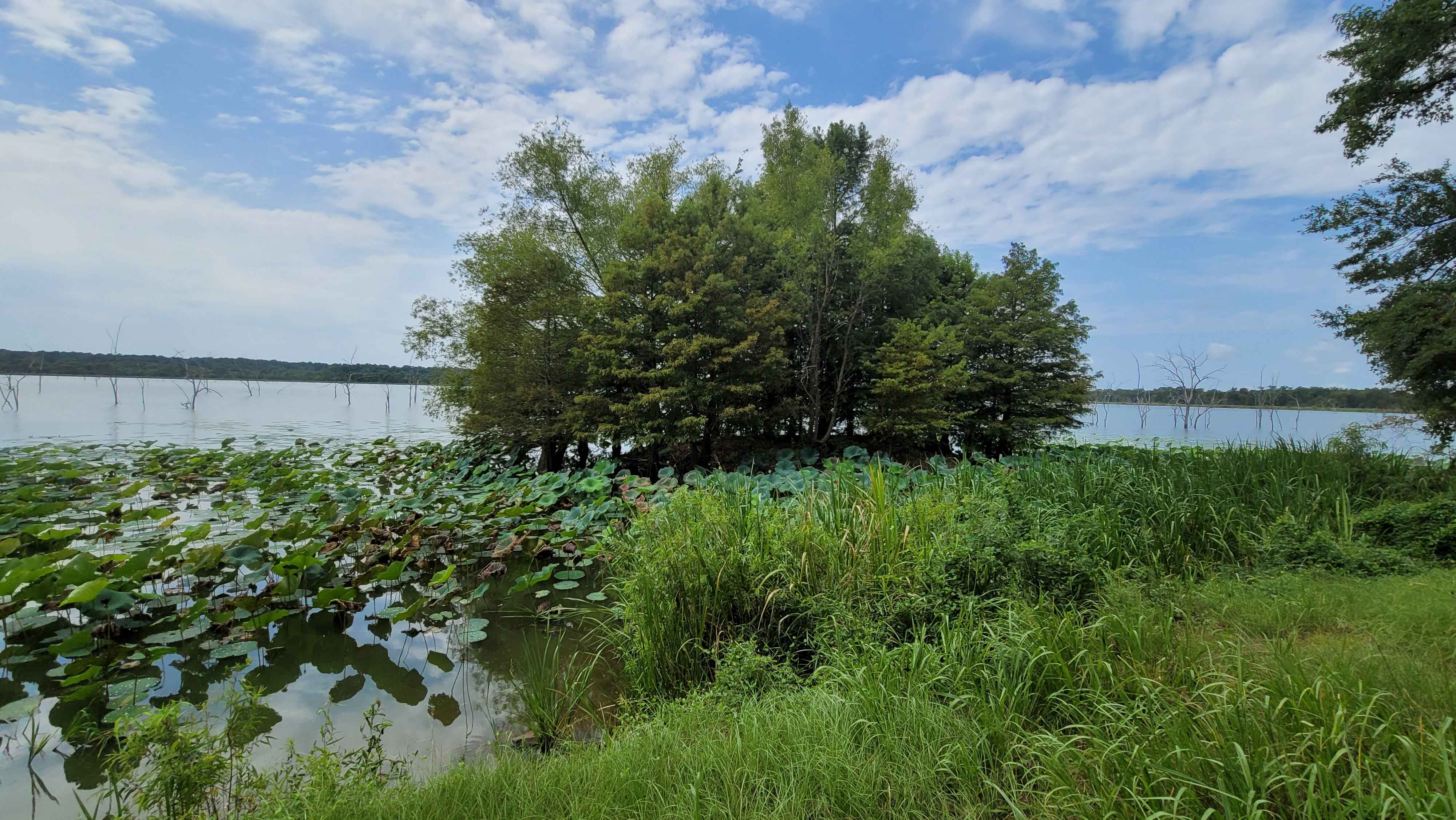 To Bois d'Ark Lake Finger Point Landing