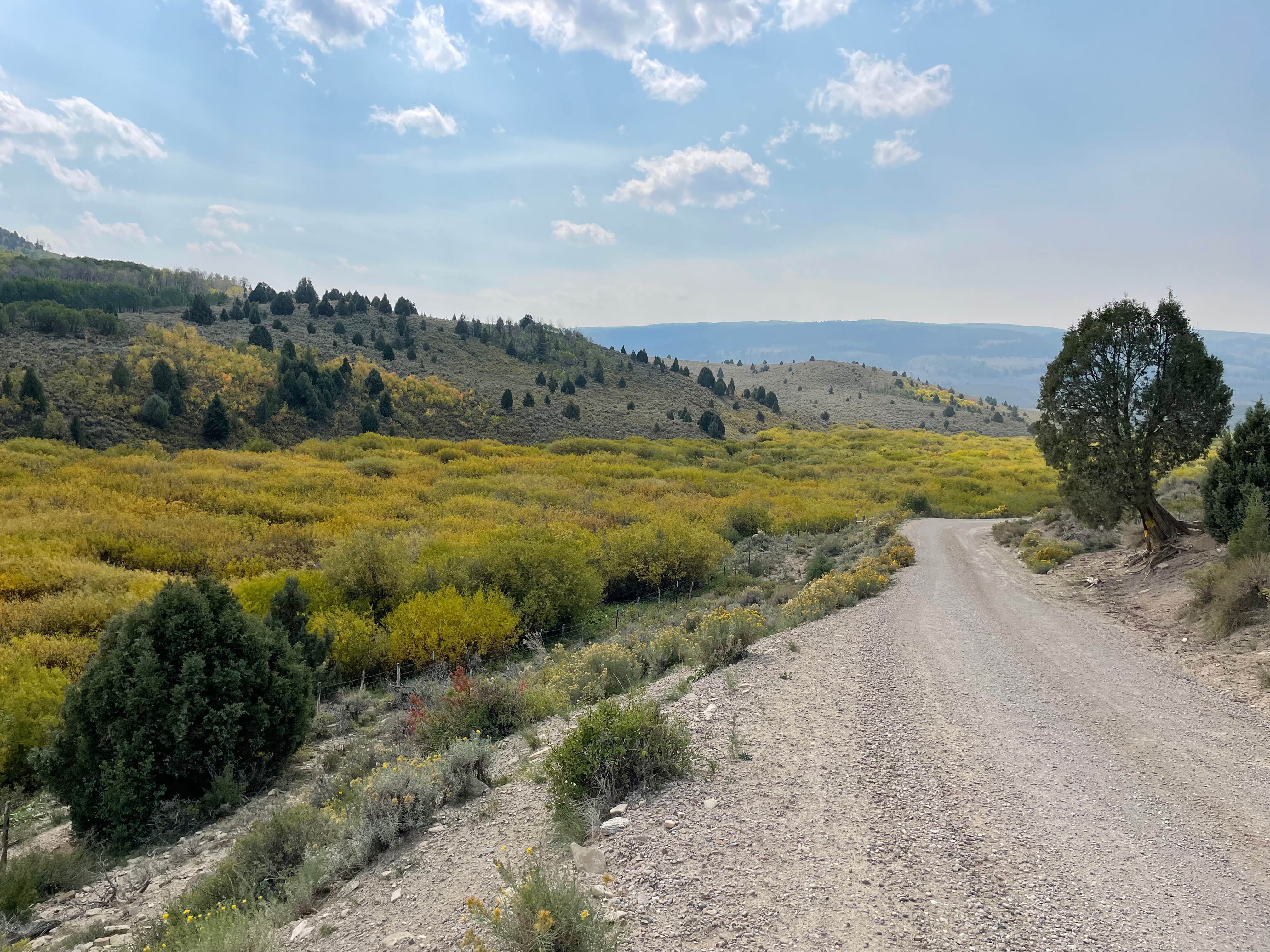 Timber Canyon Trail