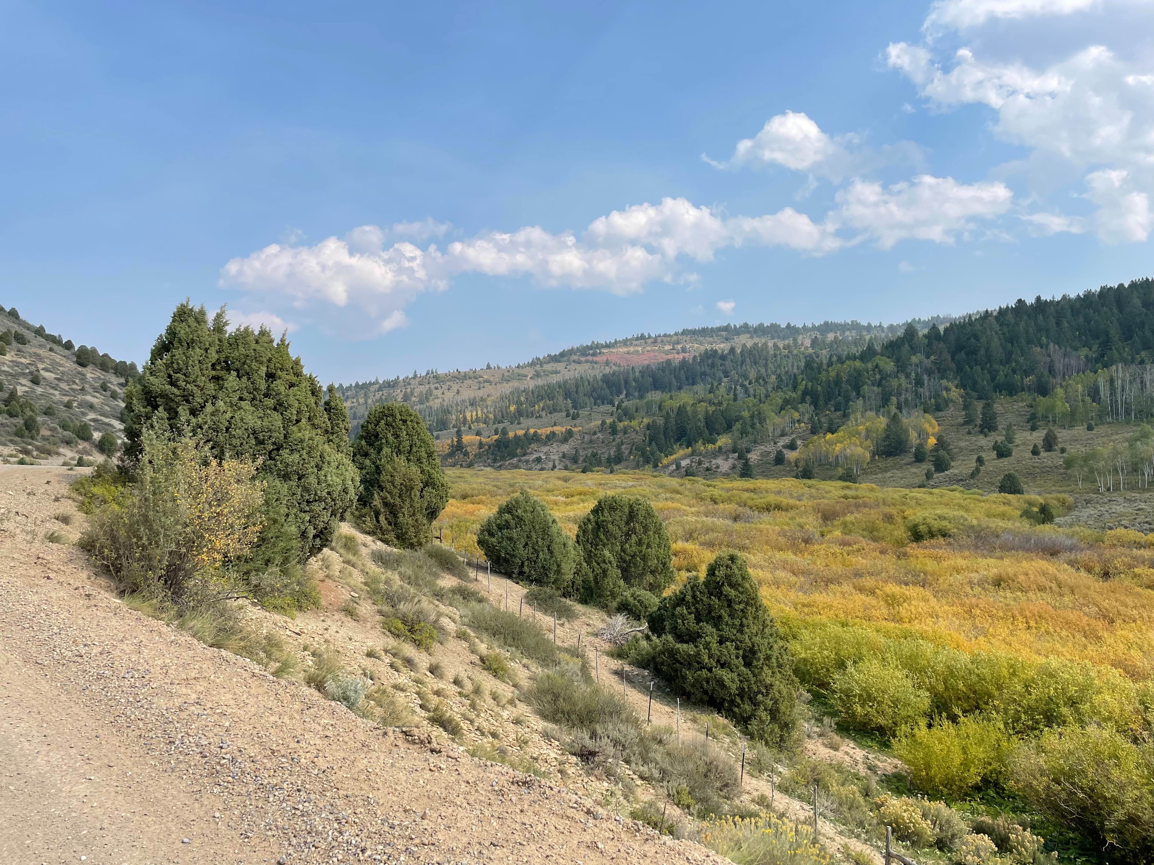 Timber Canyon Trail