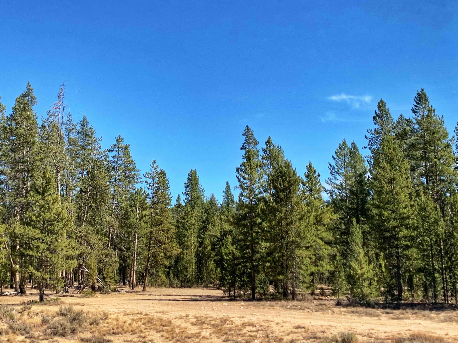 Yellow Belly Lake and Hiking Trails