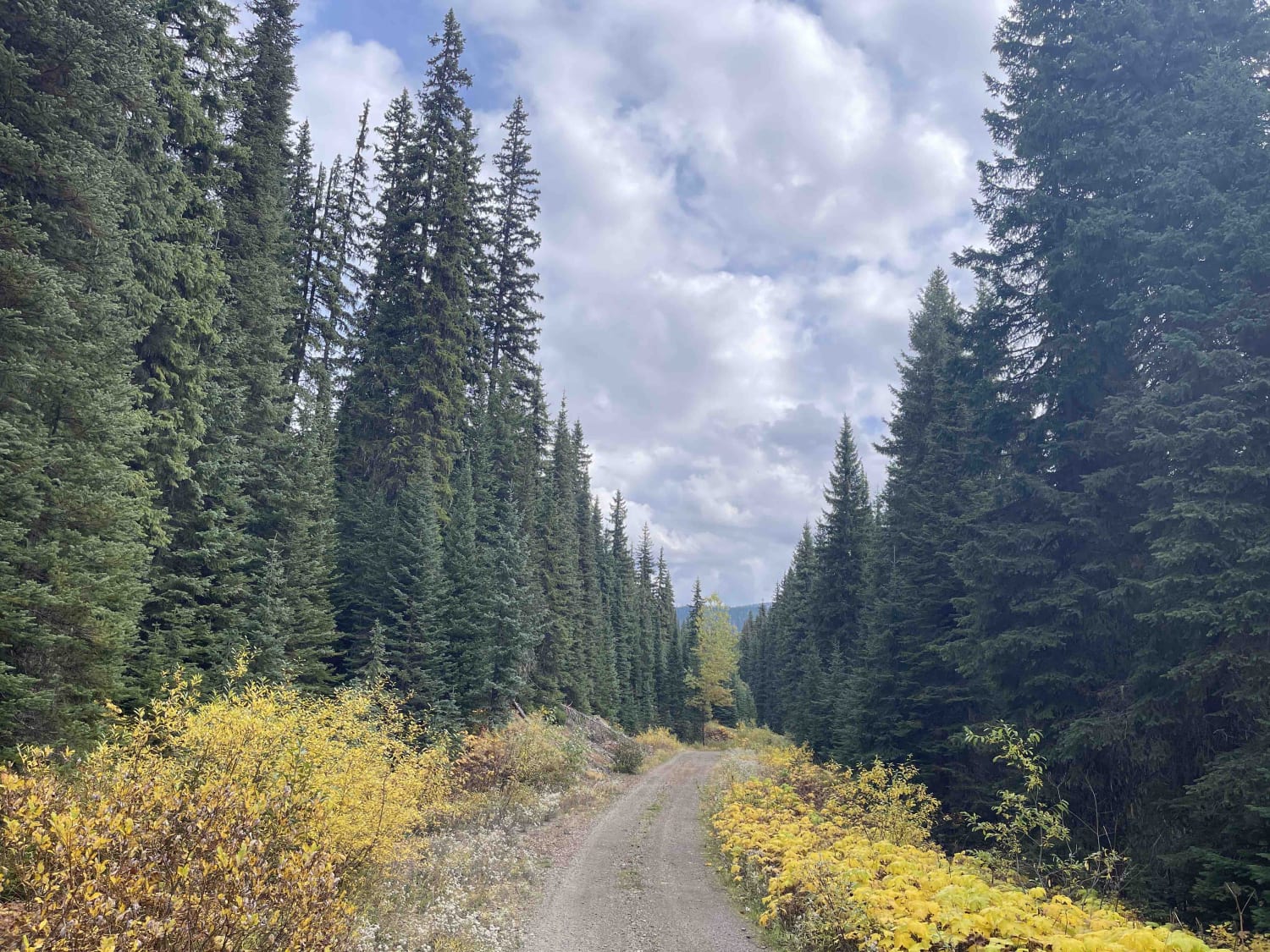 Keefer Lake FSR to Holmes Lake Rec Site