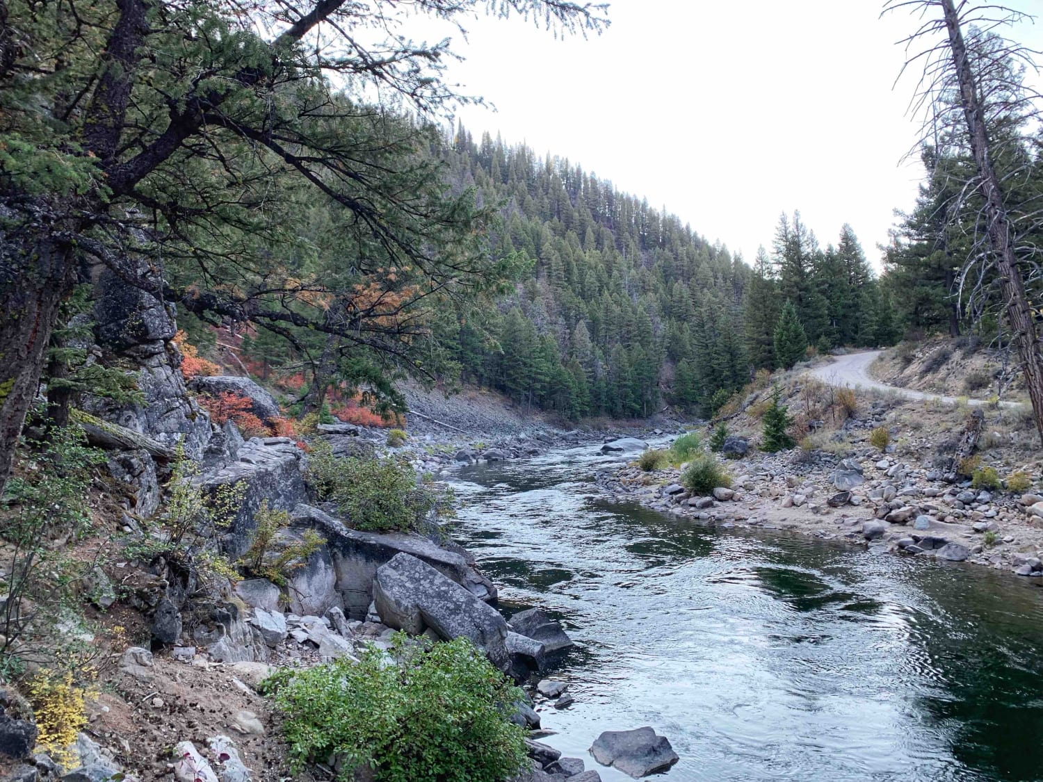 O'Brien Camping on the Salmon River