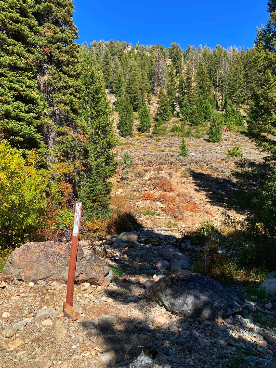 Boulder Creek Left Trail