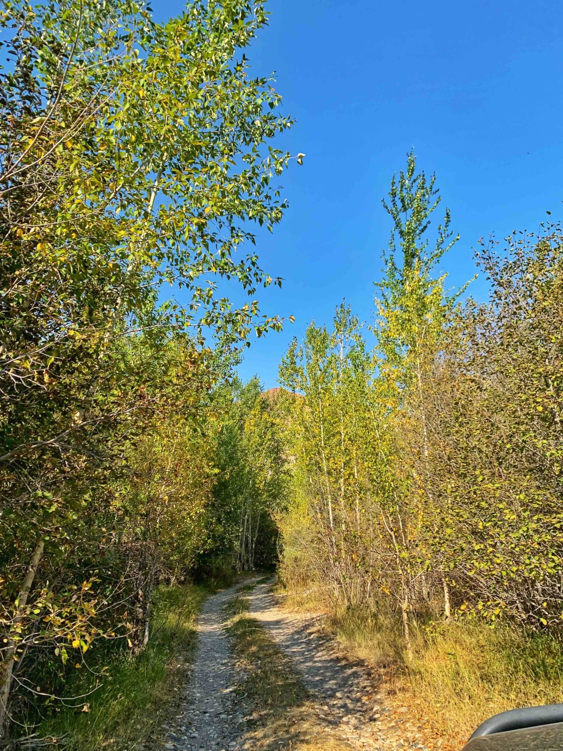 Pennal Gulch River Access