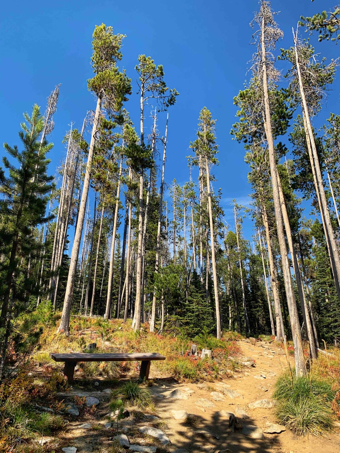 St.Mary's Peak Trail