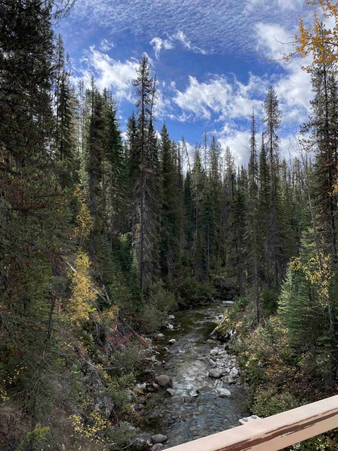 Kettle Center to Hwy along Kettle Valley