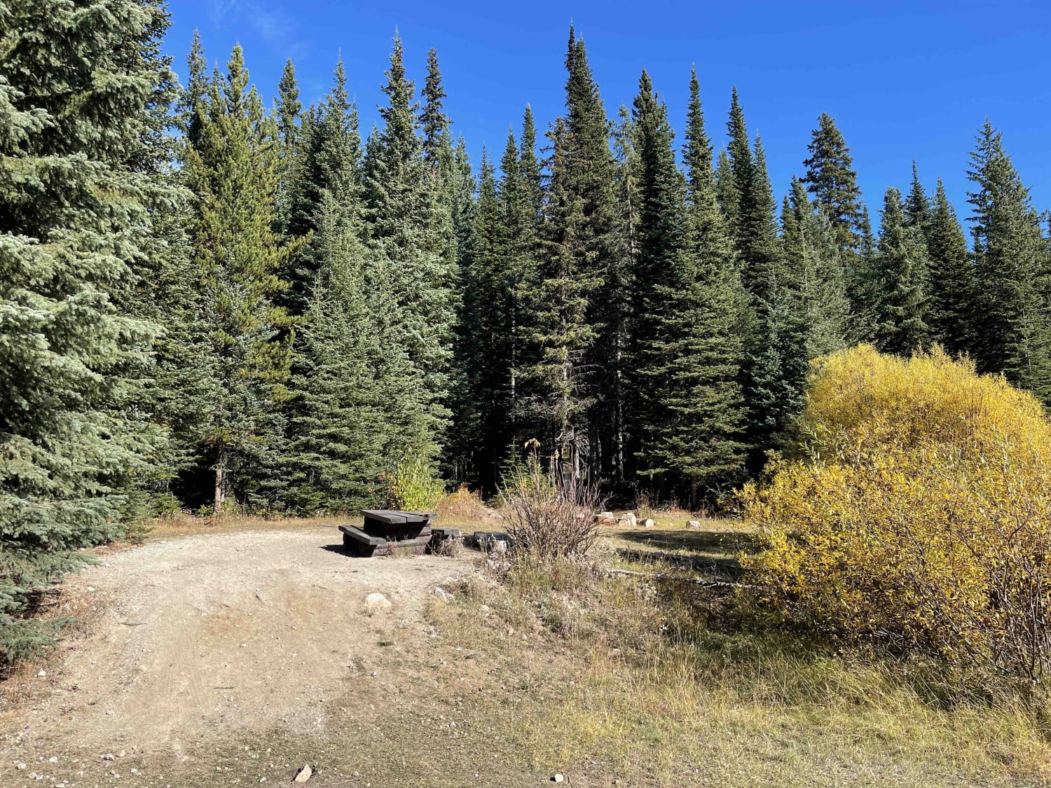 Spa Hills to Arthur Lake Rec Site