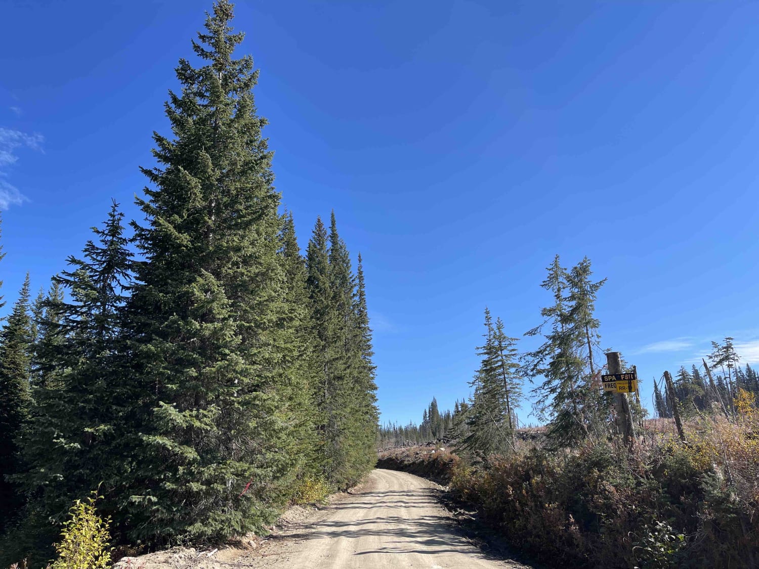 Spa Hills to Arthur Lake Rec Site