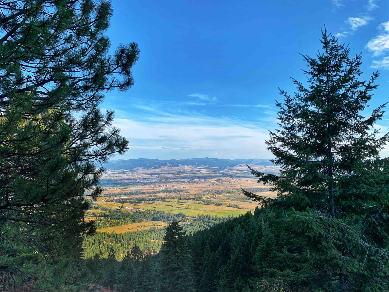 Bass Overlook Trail