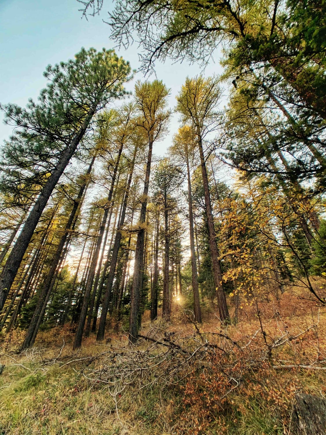 Bass Overlook Trail