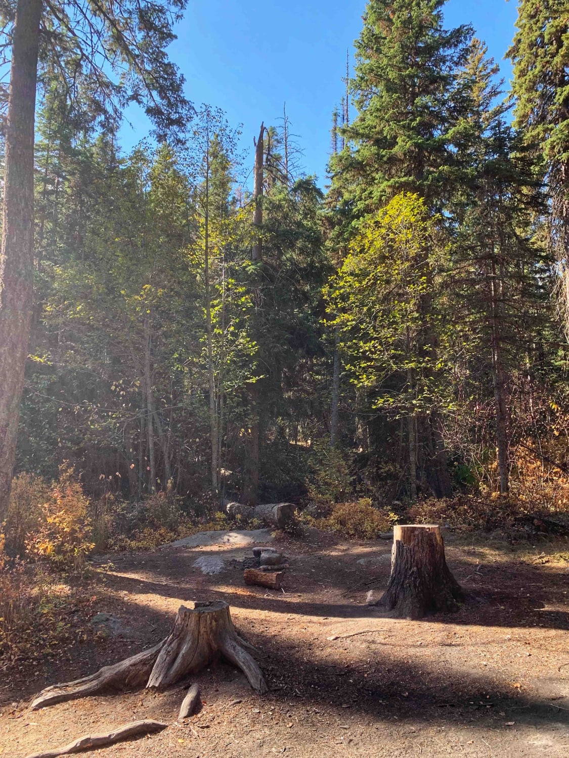 Blodgett Canyon Overlook