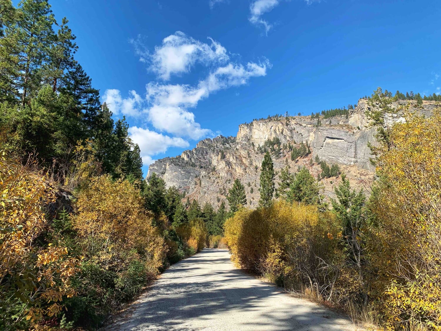 Blodgett Hiking Trail and Campground