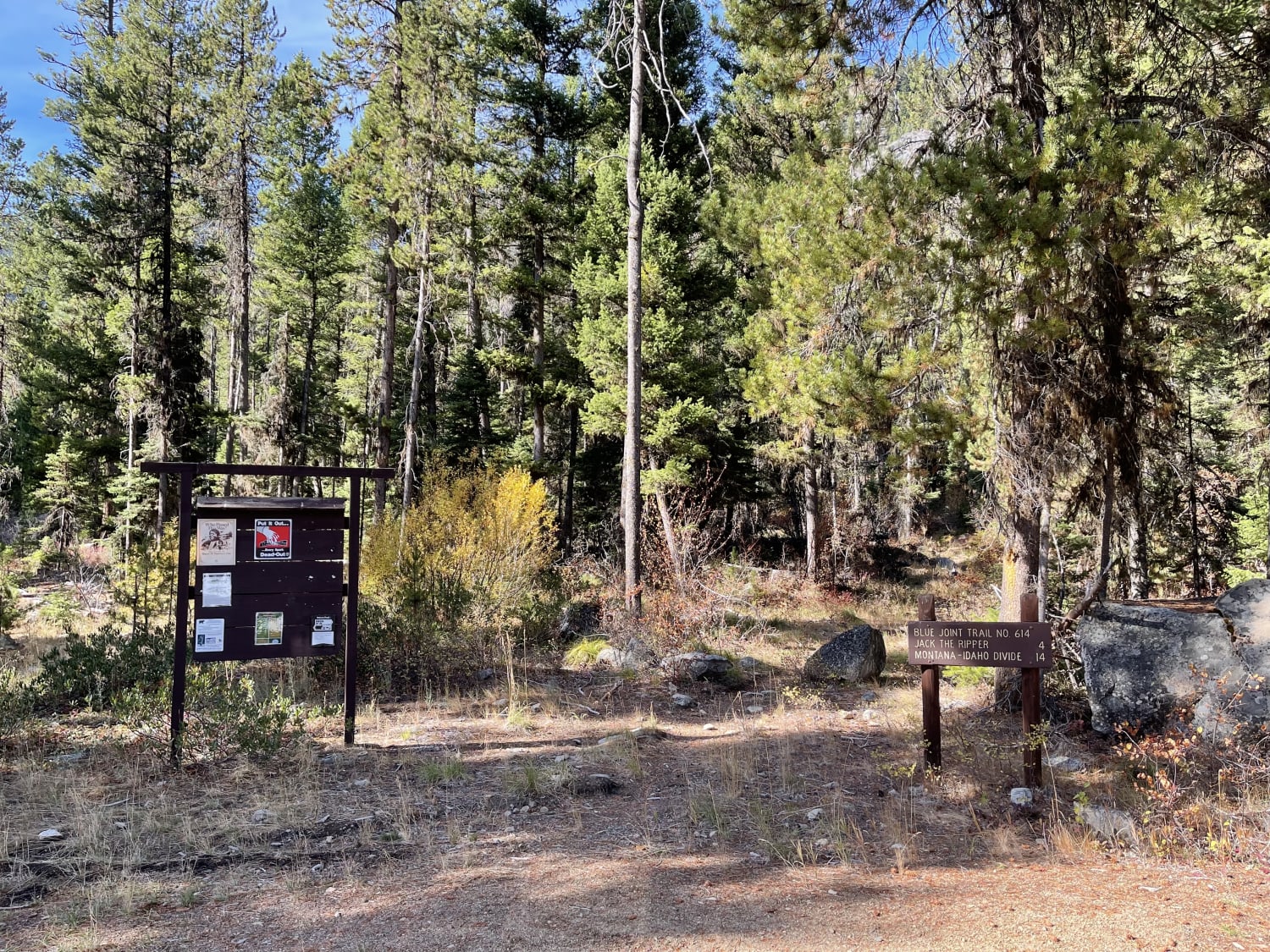 Blue Joint Trailhead Trail