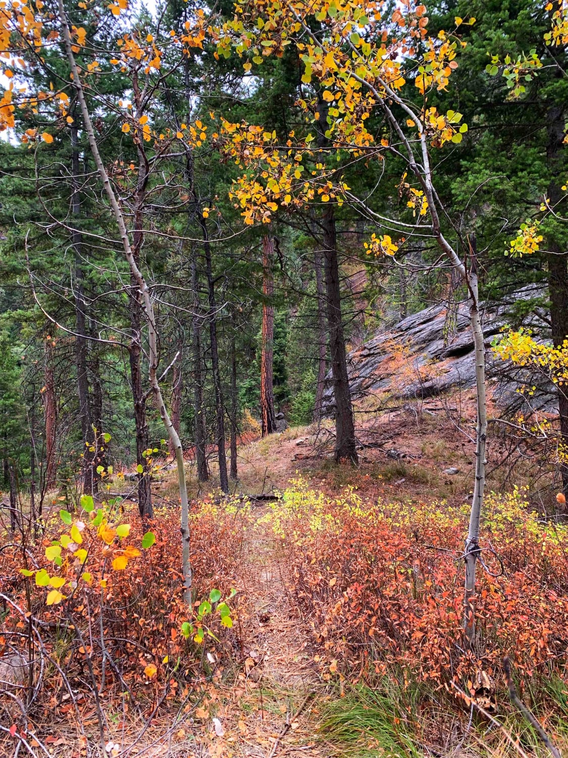 Lower Smith Ridge