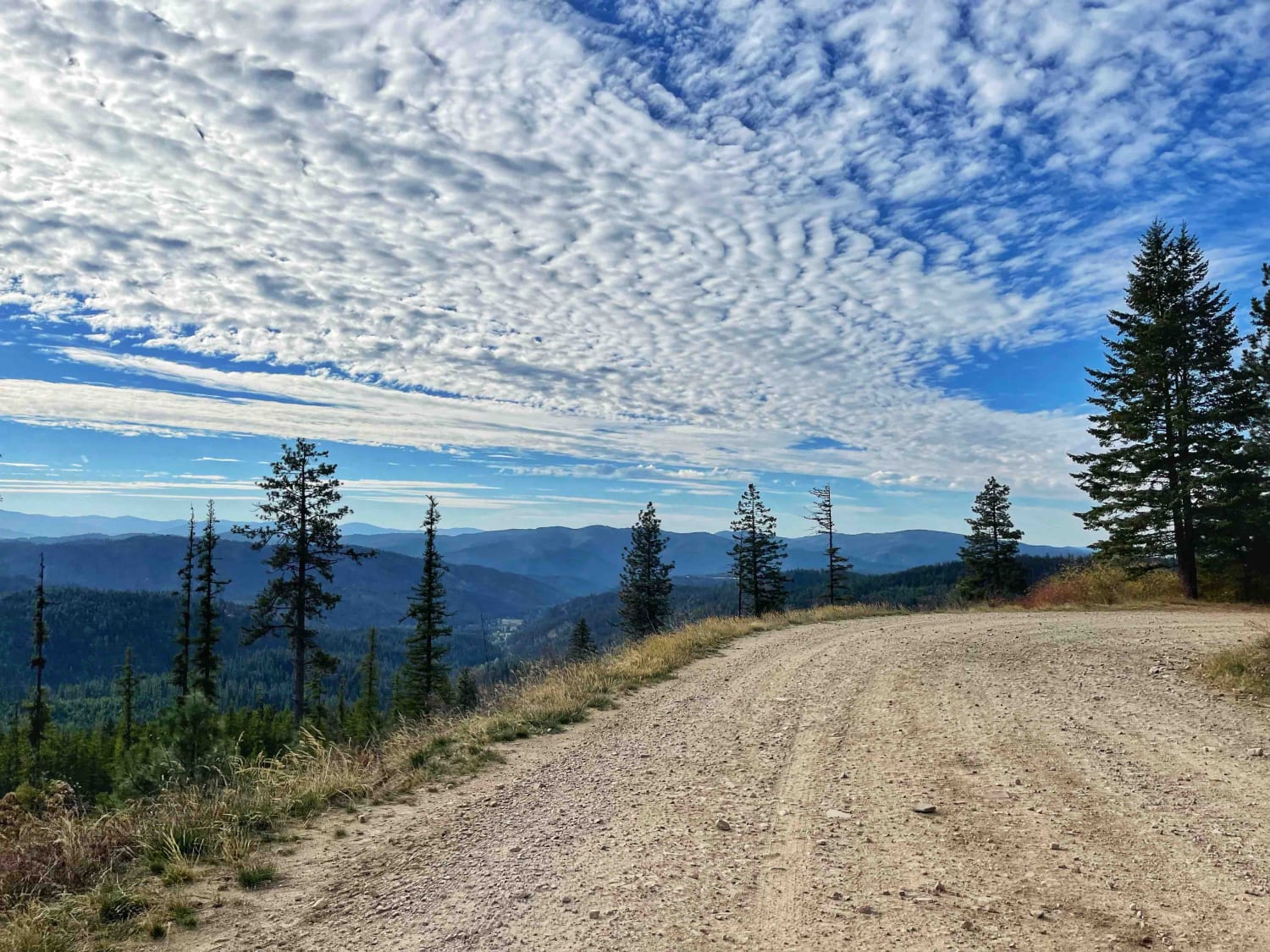 Blue Ridge Views