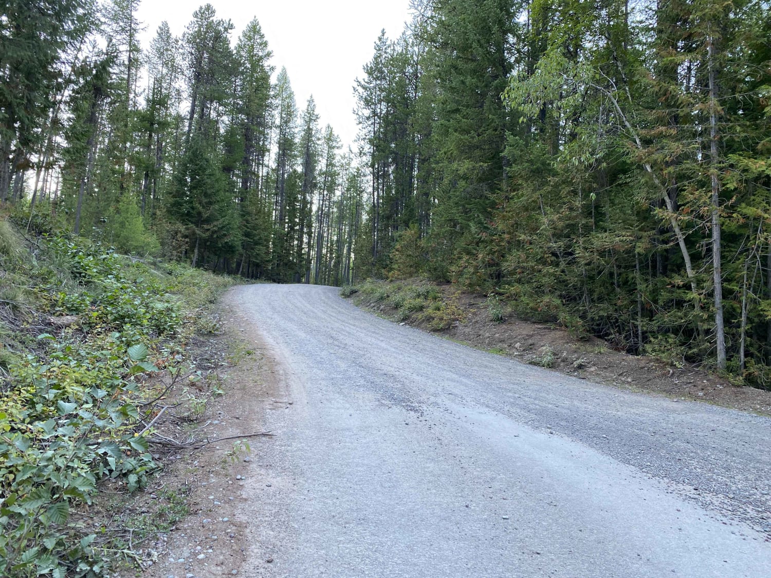 Inside North Fork Rd