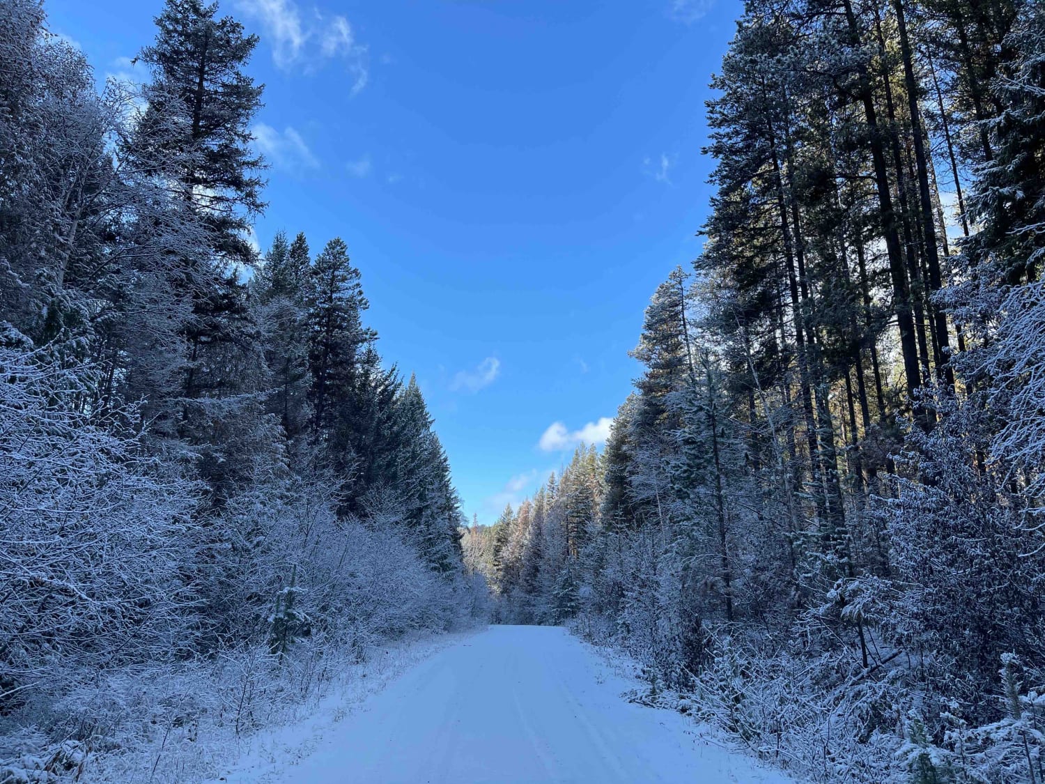 Long Route to Bouleau Lake